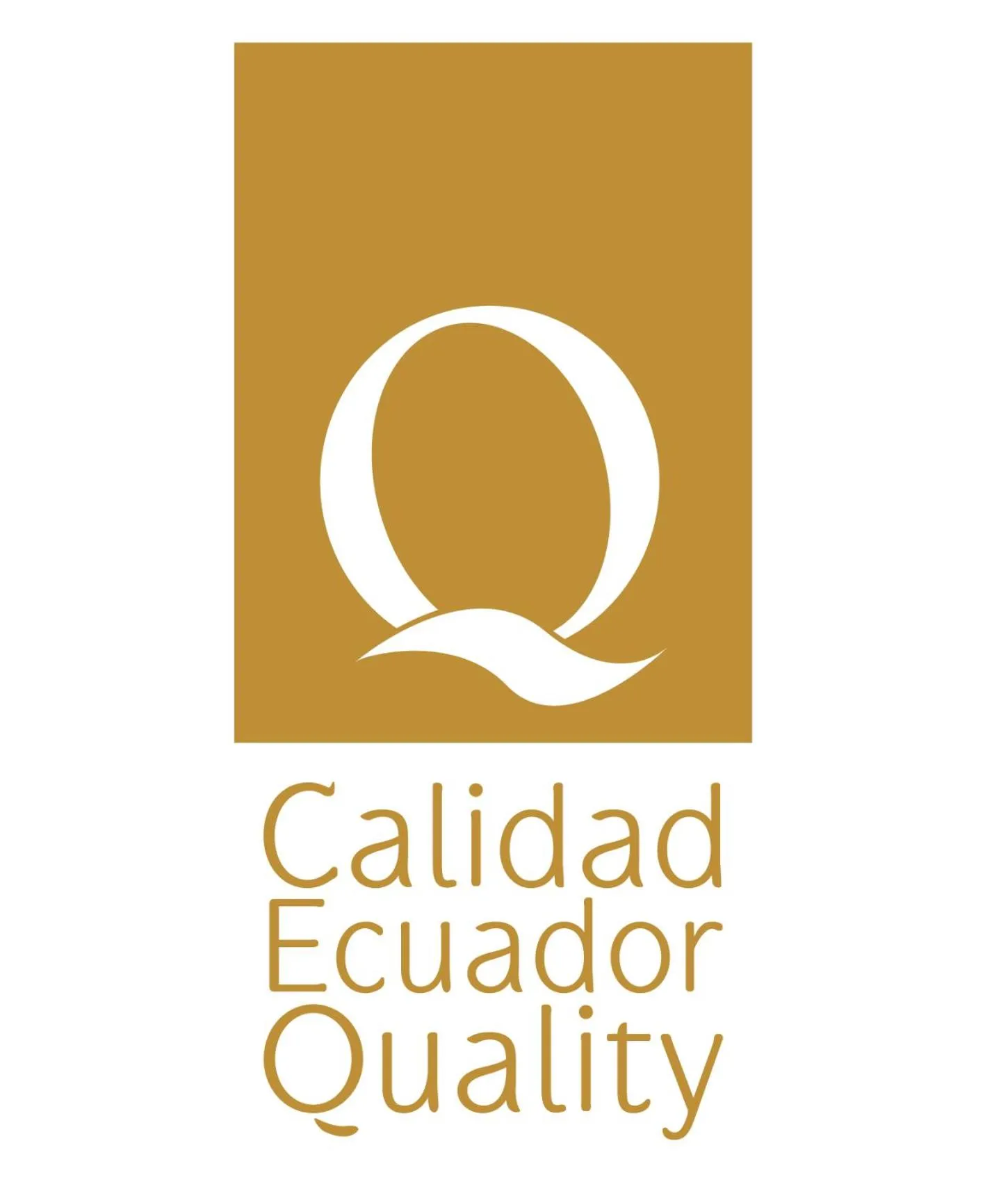 Certificate/Award in Hotel Mar Azul