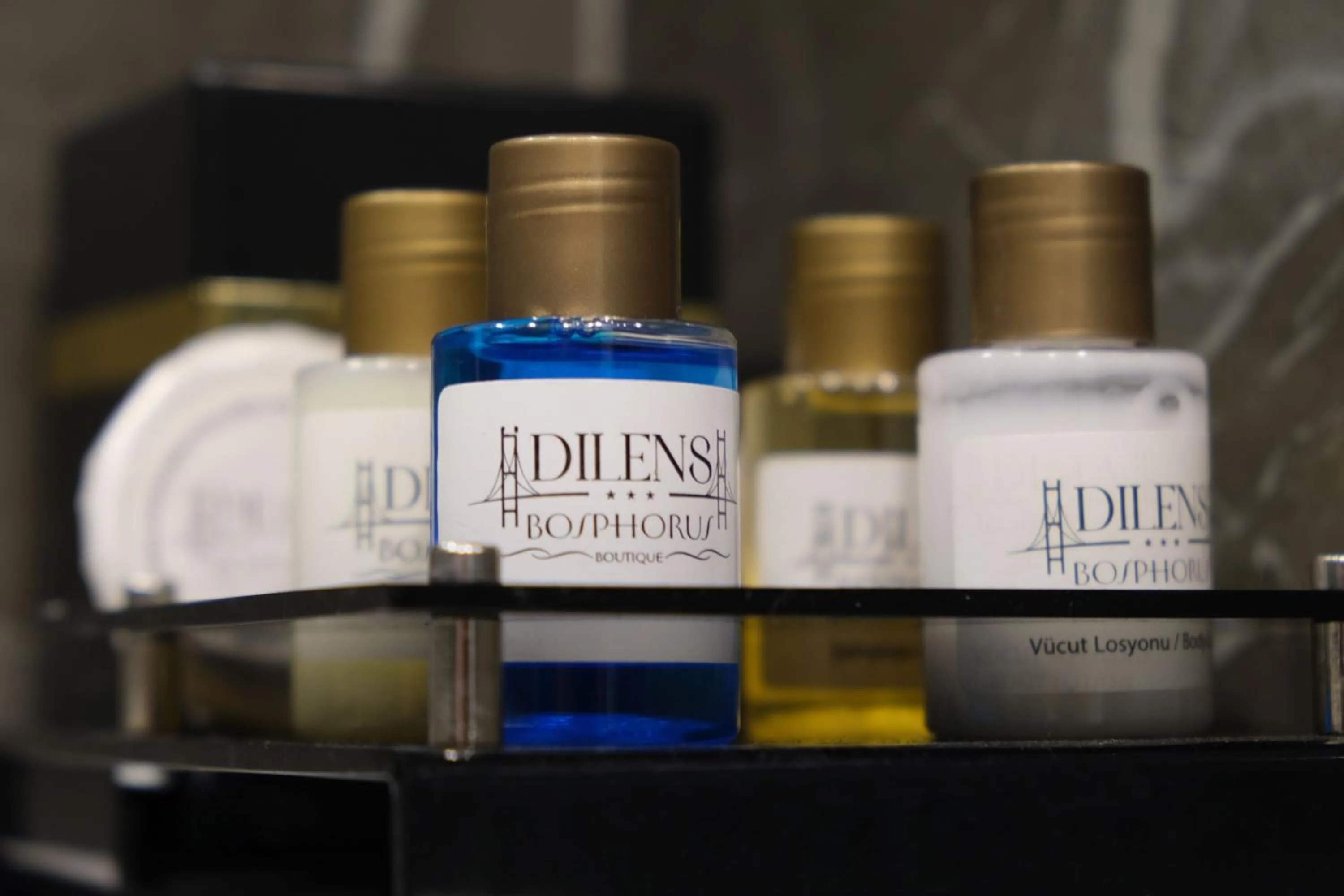 Logo/Certificate/Sign in Dilens Bosphorus Hotel