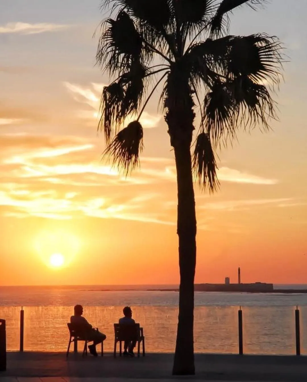 Summer in Hotel La Morena