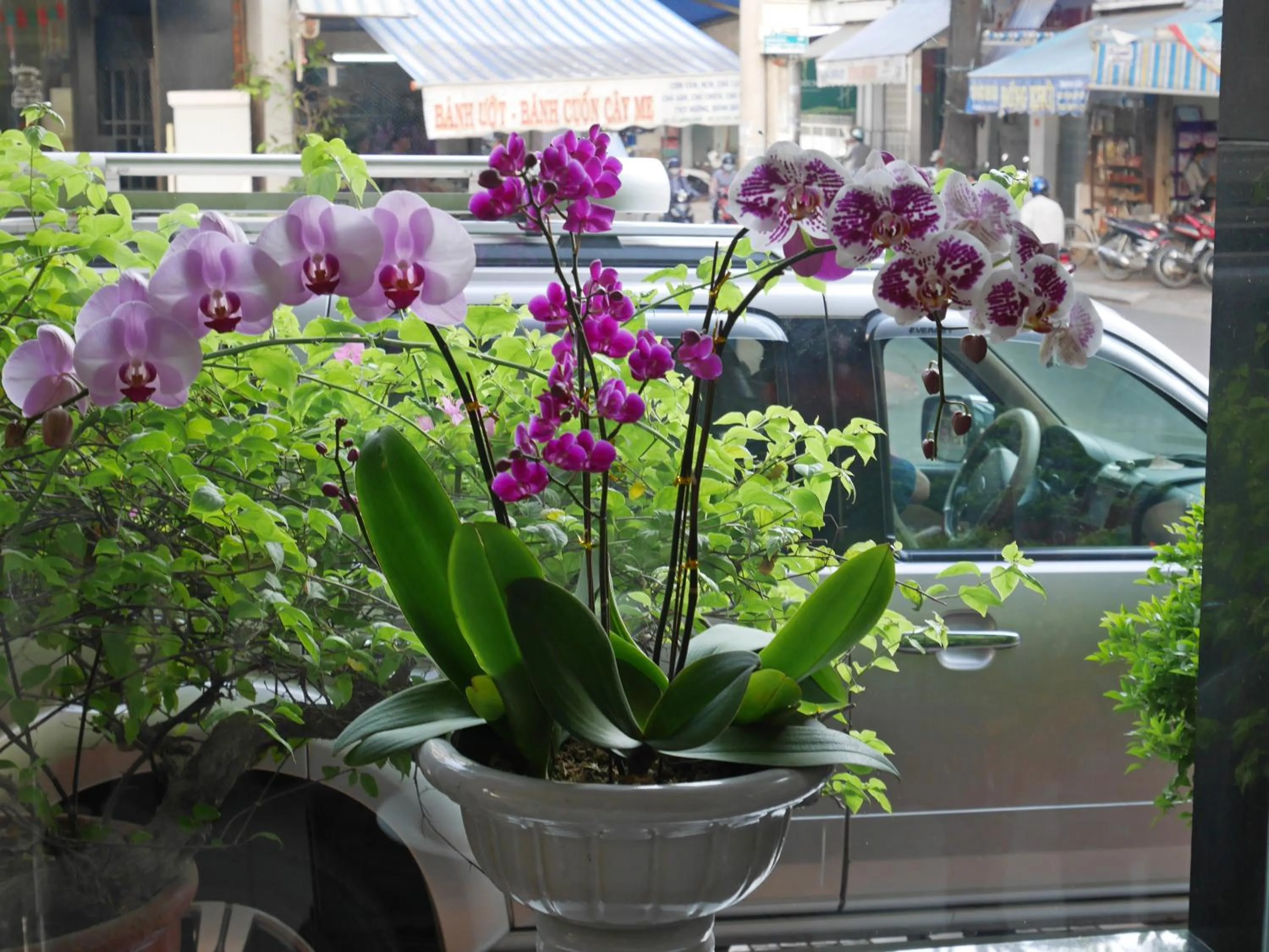 Lobby or reception in Hau Giang Hotel