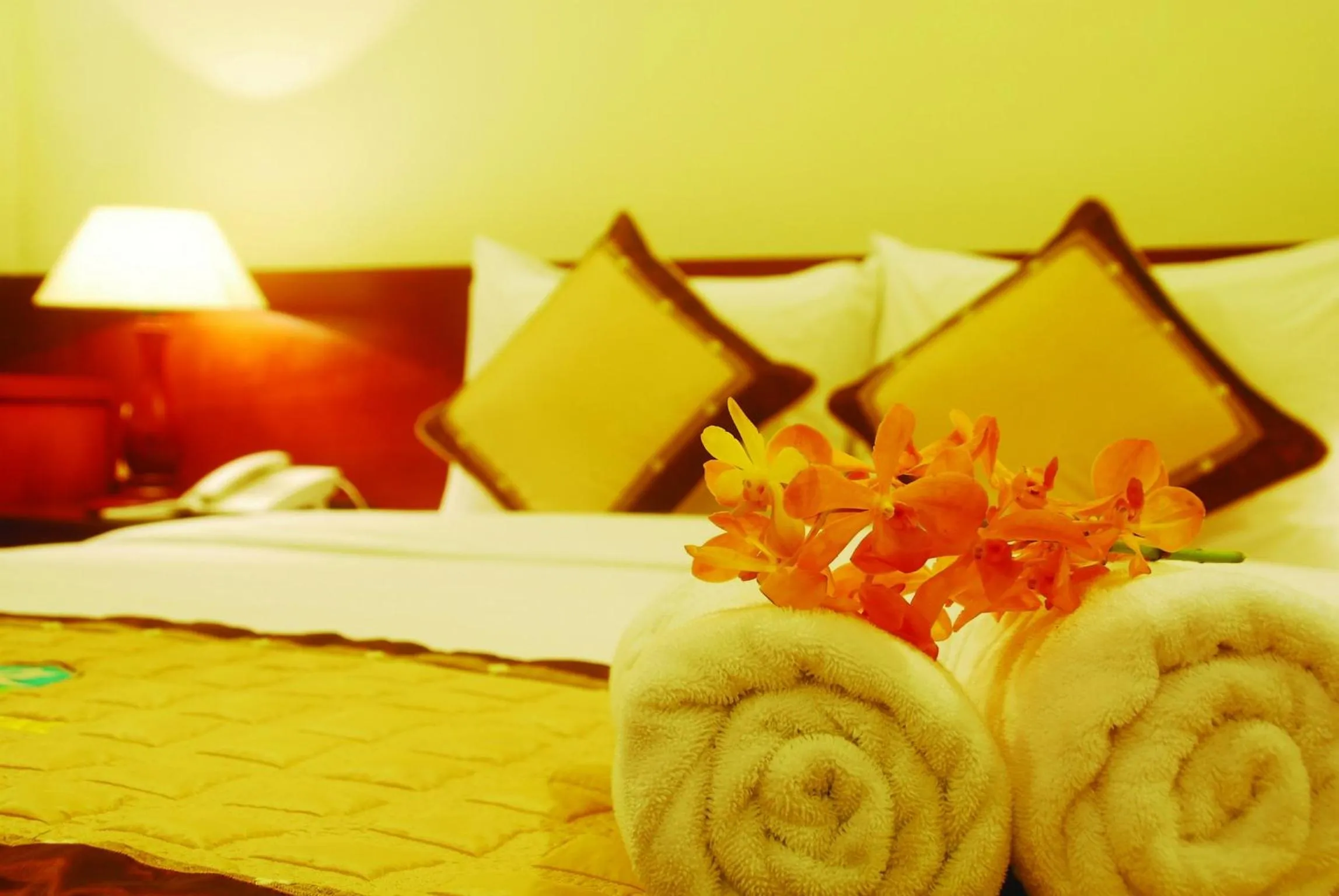 bunk bed, Bed in Hau Giang Hotel