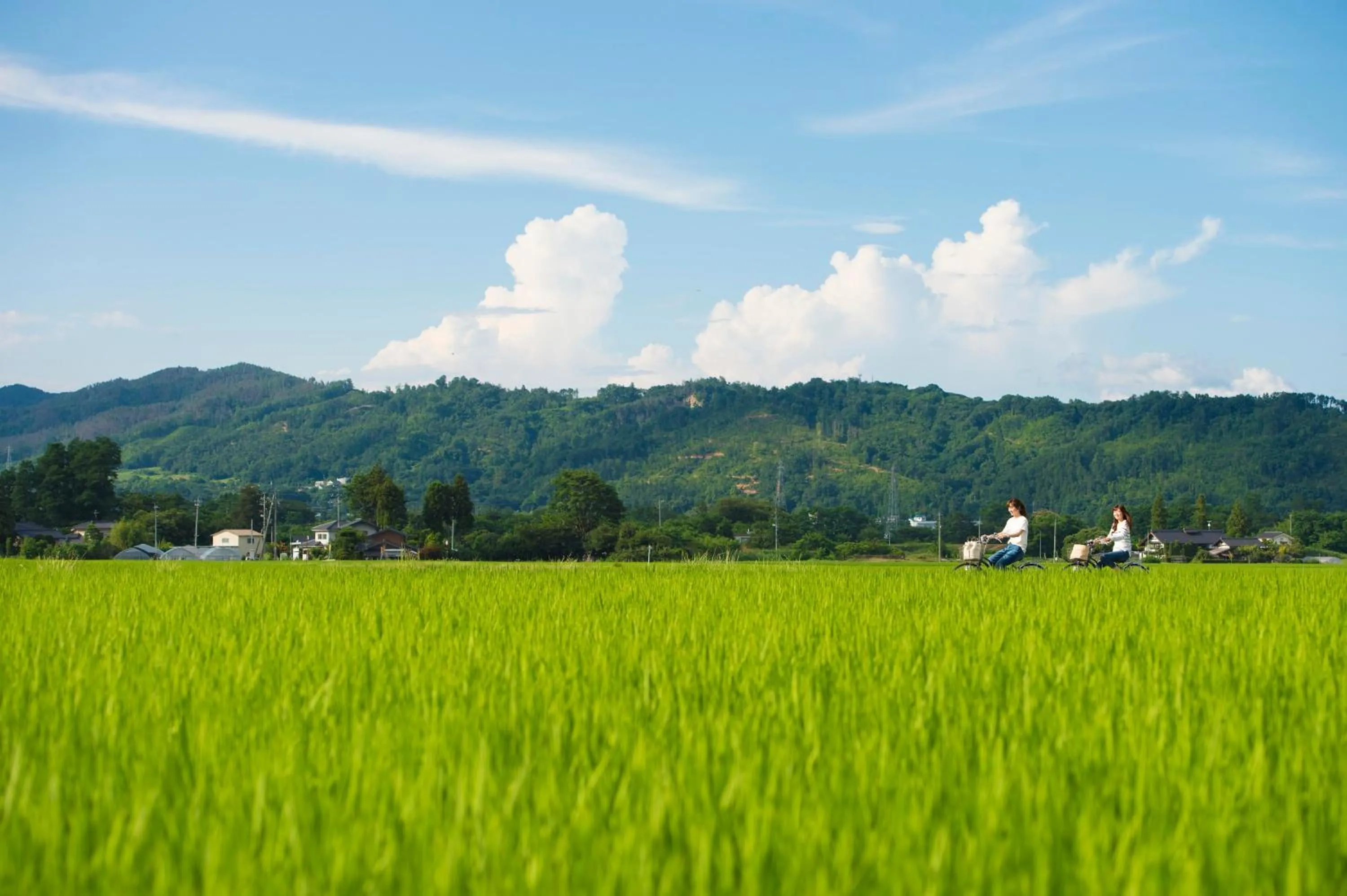 Cycling in Izumigo AMBIENT Azumino Hotel