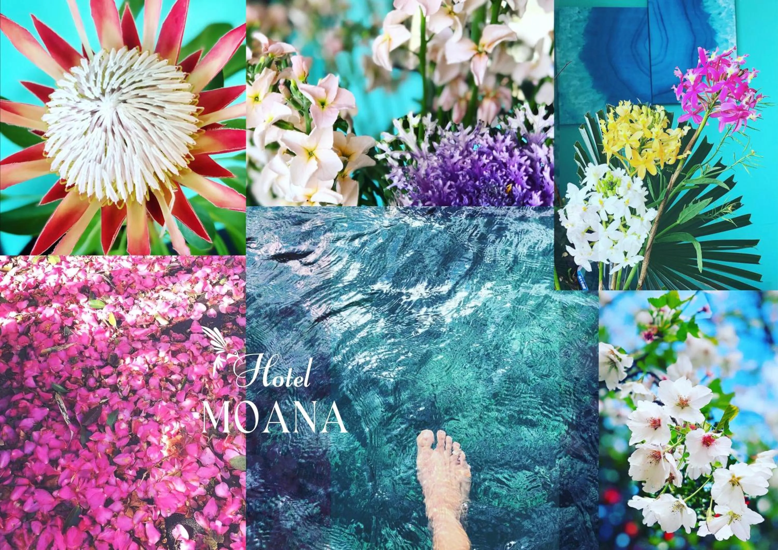 Hotel MOANA絶景オーシャンビューカフェラウンジ朝食付き