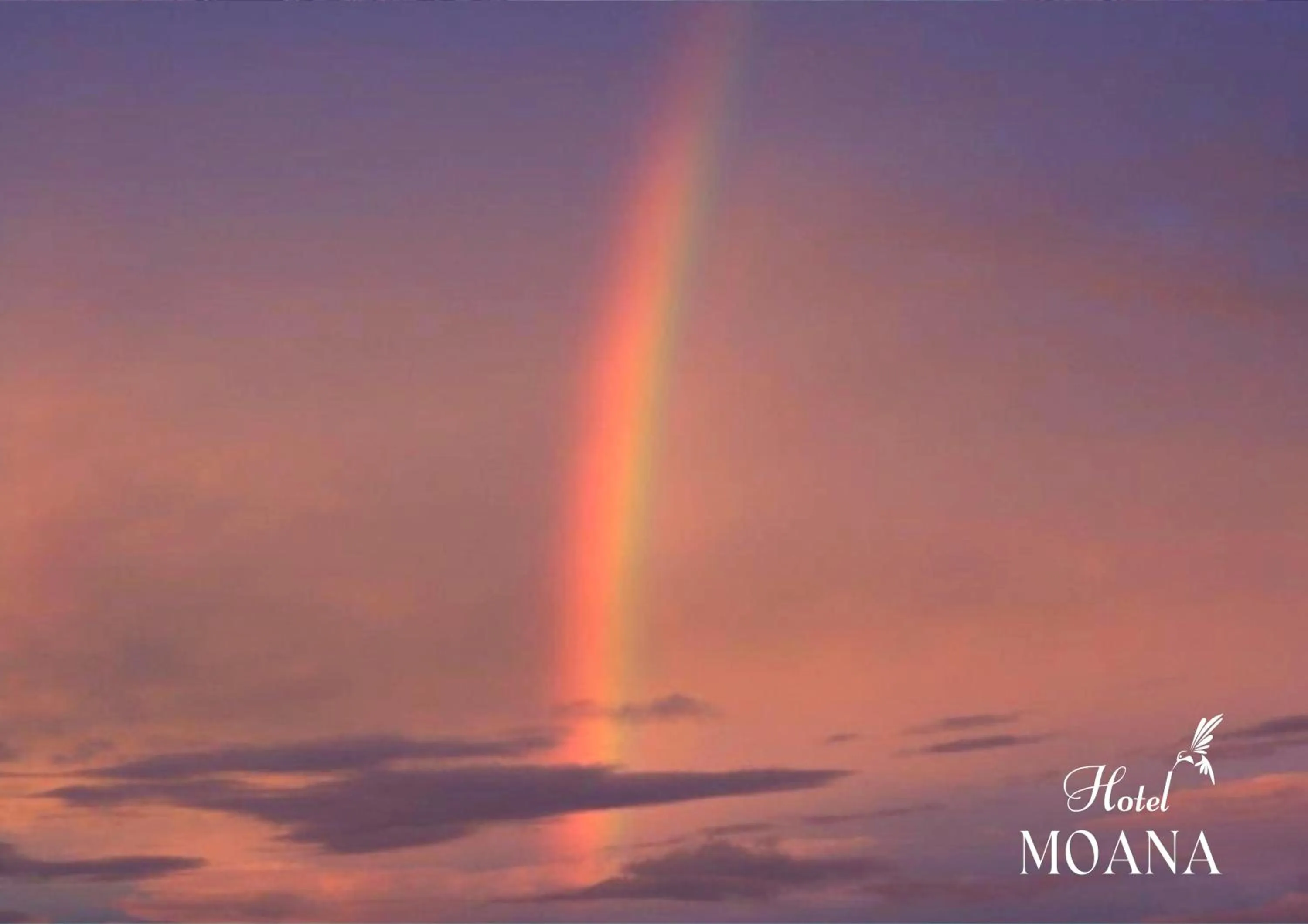 Hotel MOANA絶景オーシャンビューカフェラウンジ朝食付き