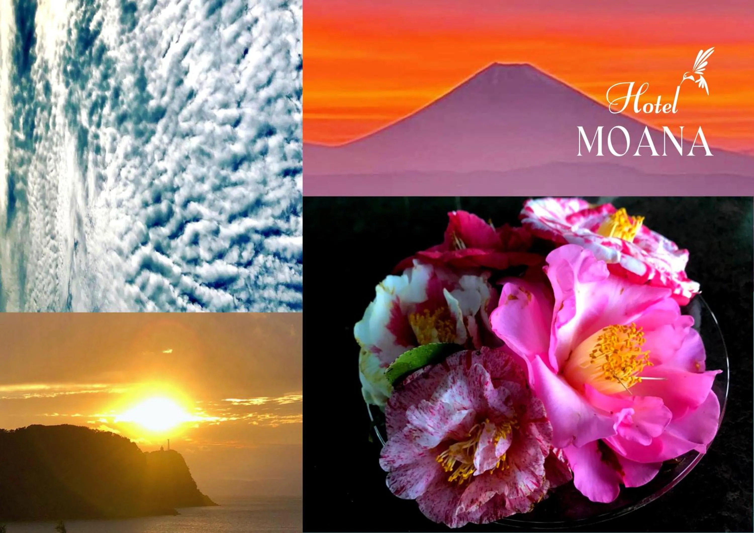 Natural landscape in Hotel MOANA絶景オーシャンビューカフェラウンジ朝食付き