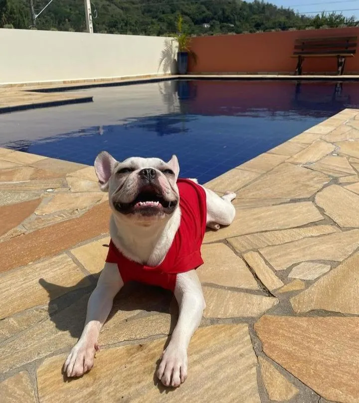 Day in Pousada Encantos de Socorro