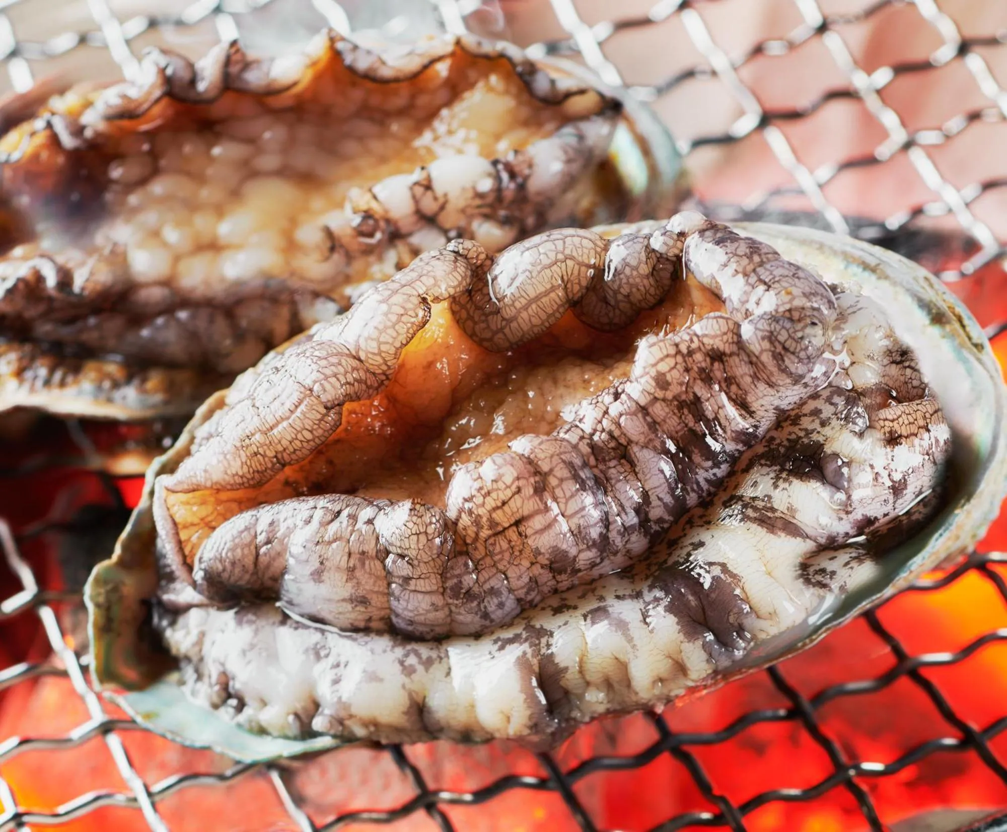 Dinner in Noto Hyakurakusou