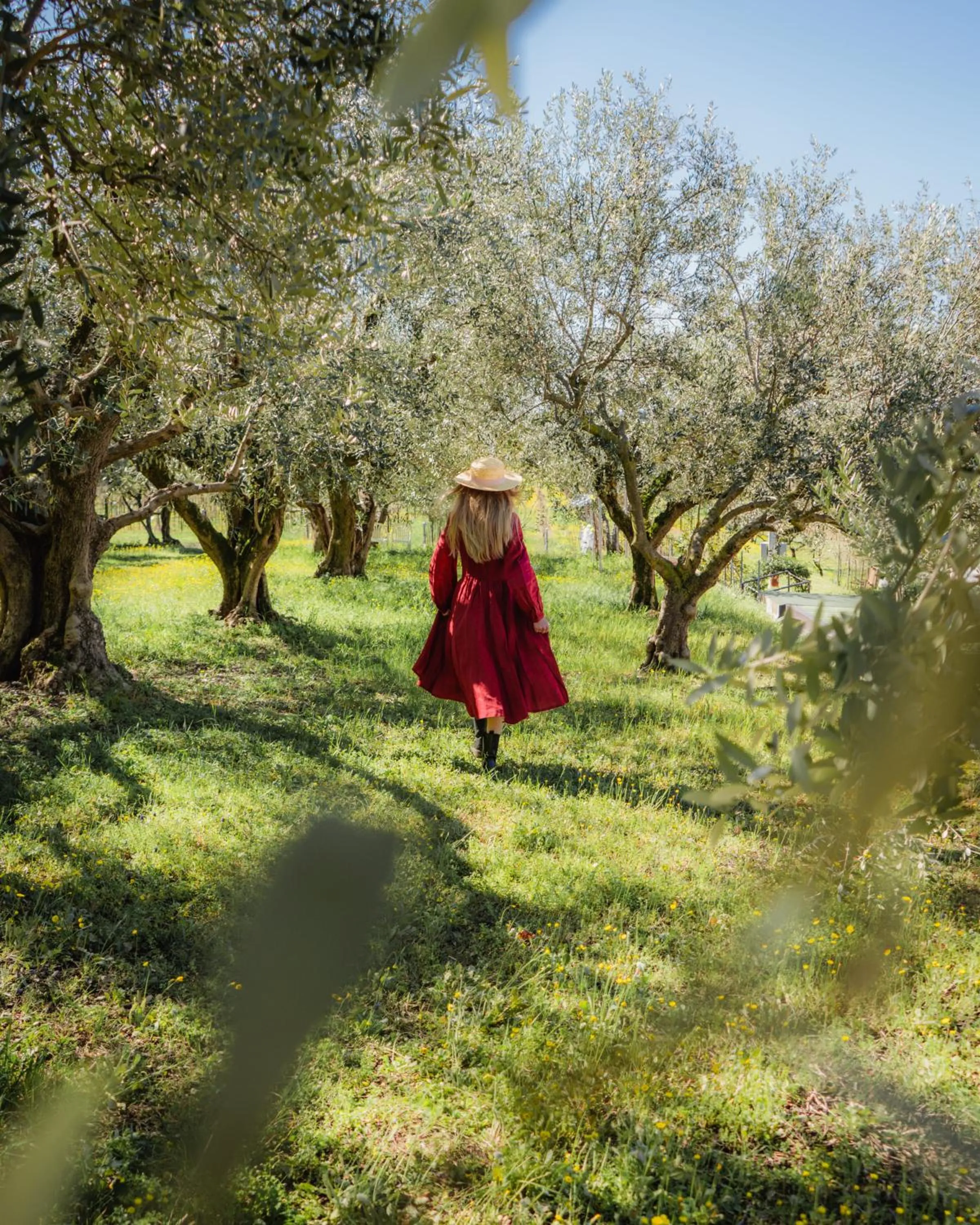 Other in Relais Forte Benedek Wine & SPA - Adults Only