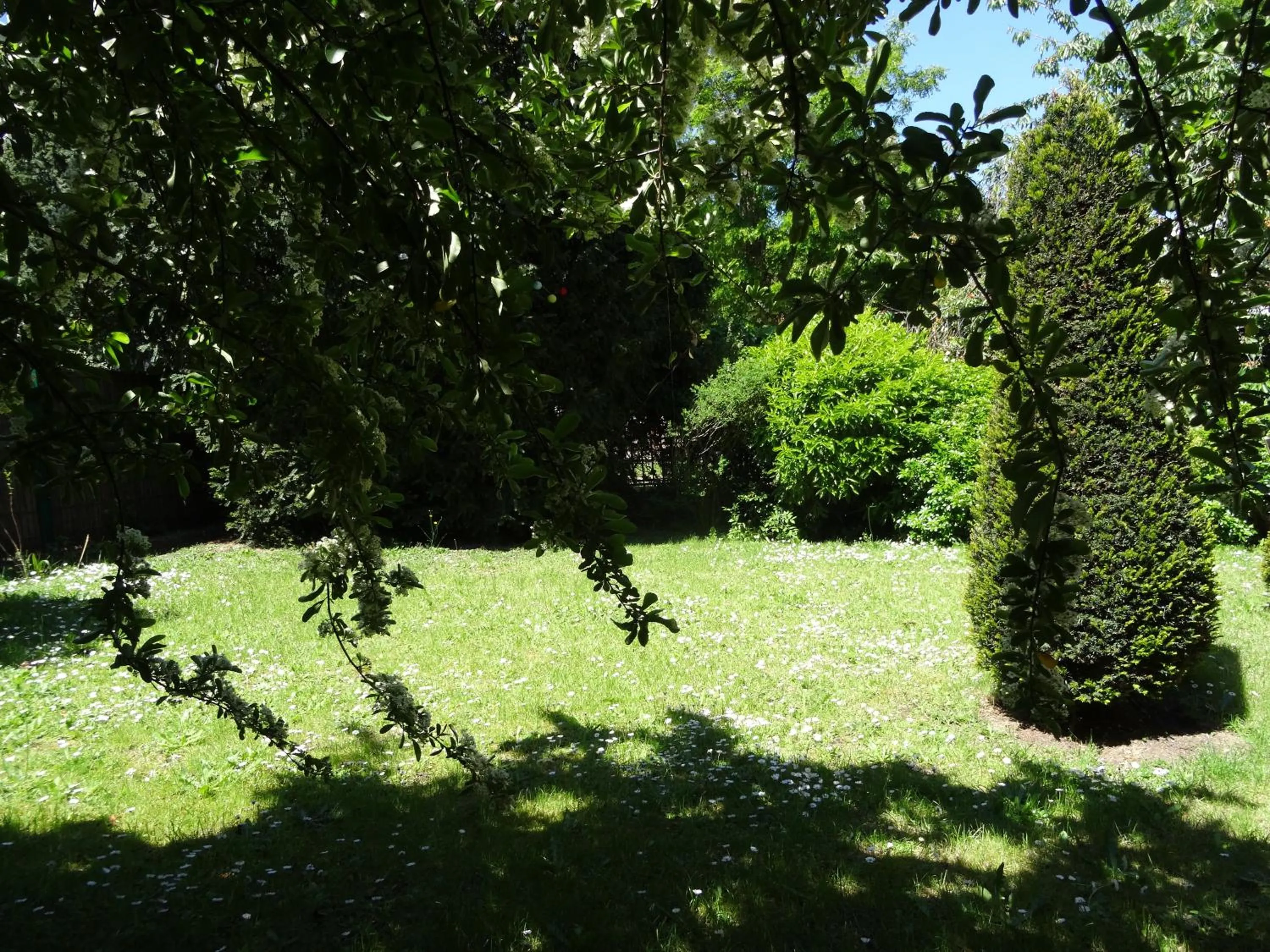 Garden in L'Hôtel Particulier - Paris Asnières