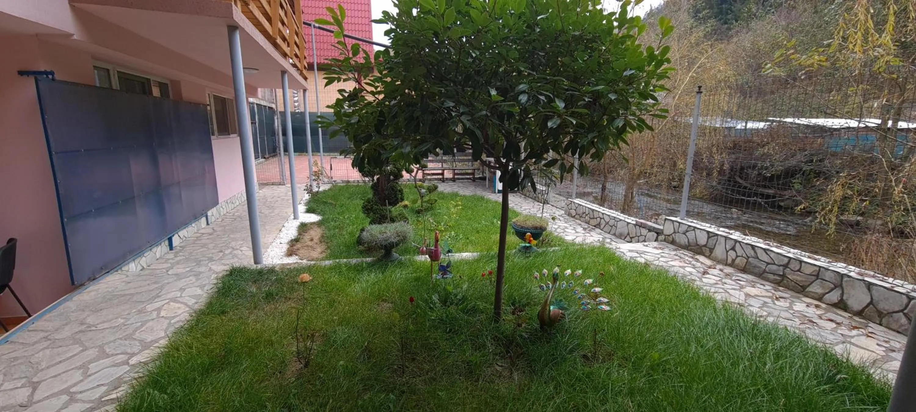 Garden in Pensiunea Aurora - Great Hostel Voineasa