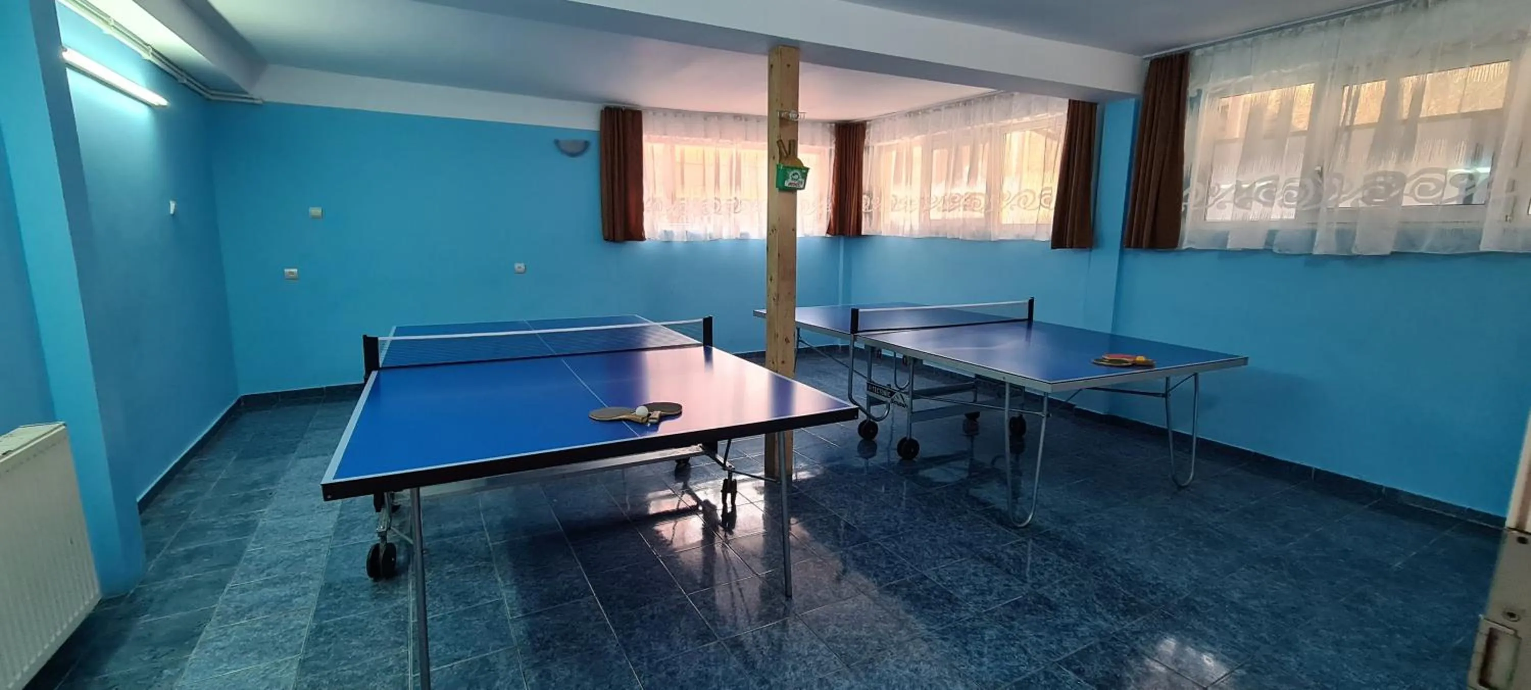 Table tennis in Pensiunea Aurora - Great Hostel Voineasa