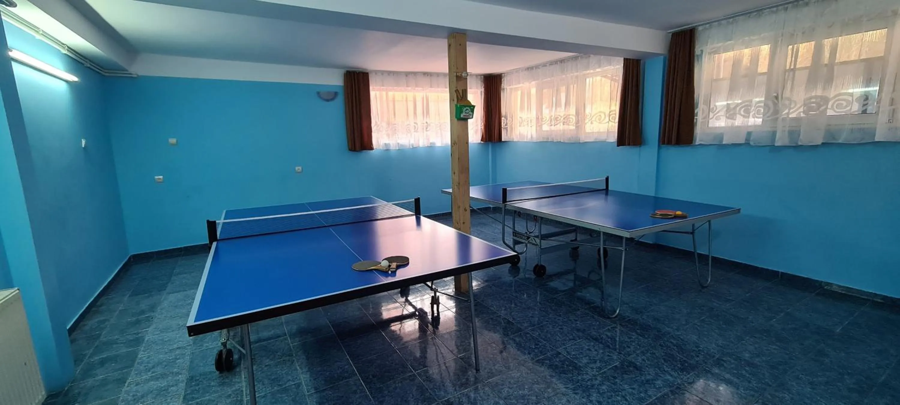 Table tennis in Pensiunea Aurora - Great Hostel Voineasa