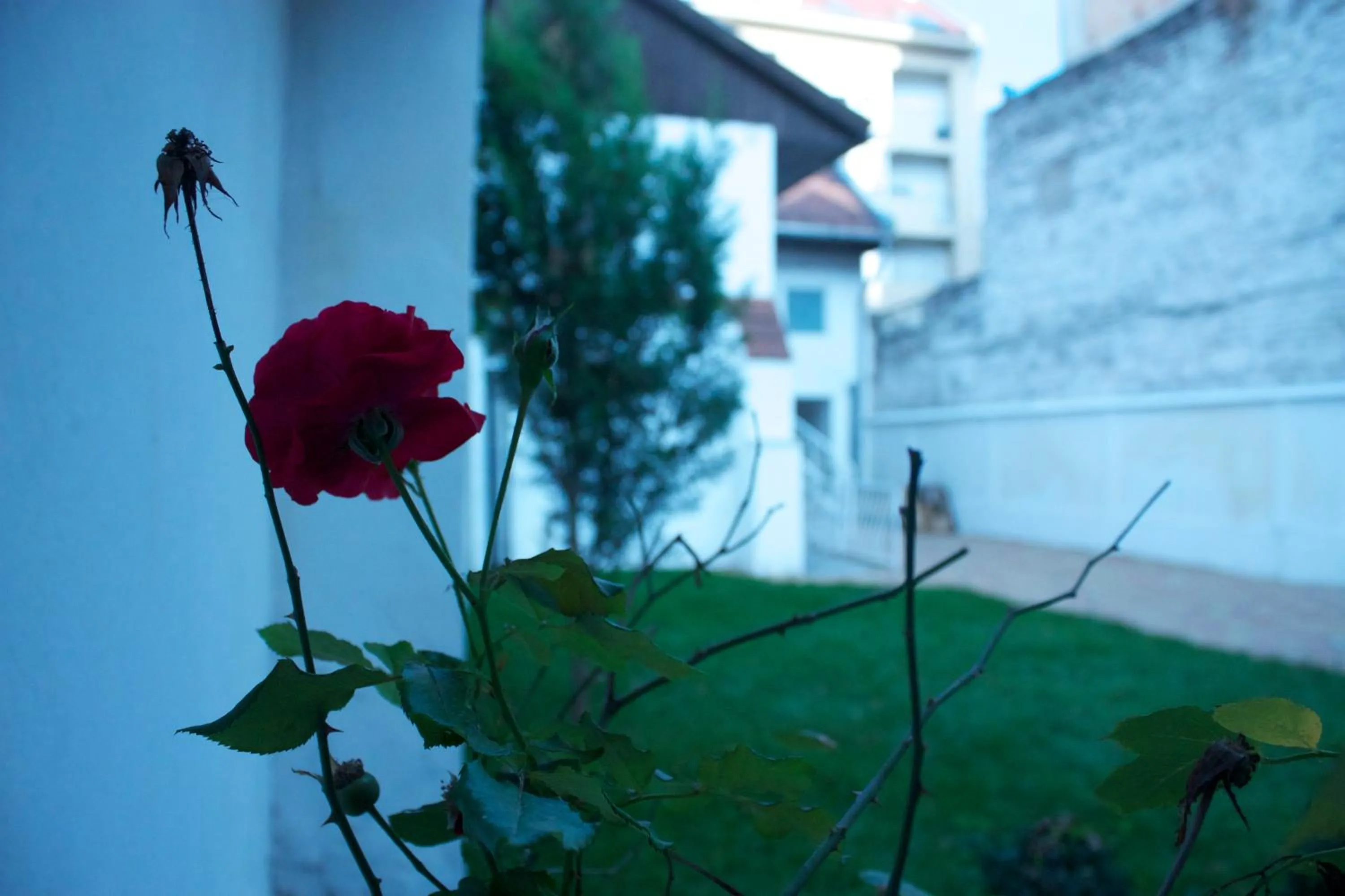 Other in Garden House