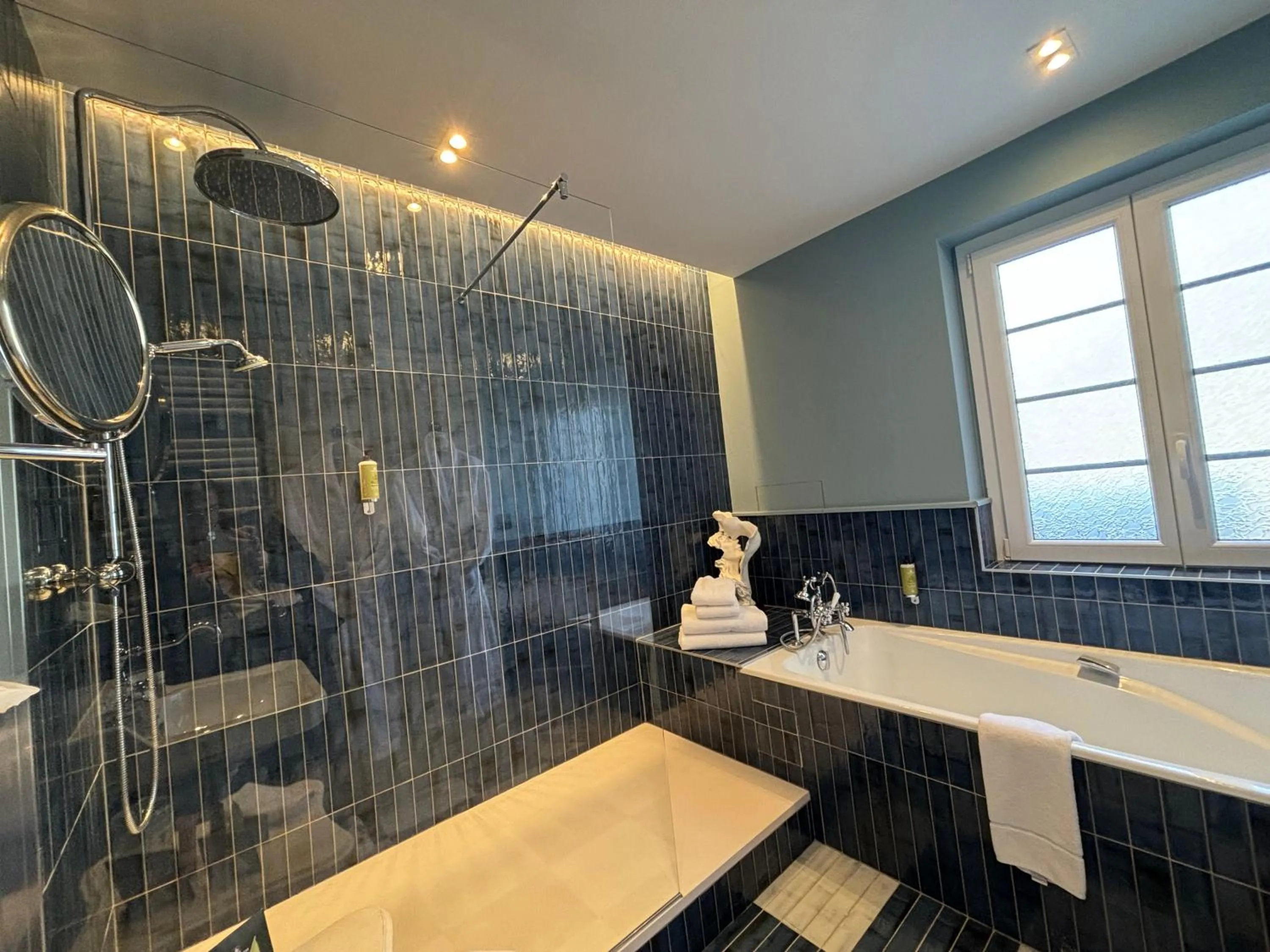 Shower in Château des Avenieres