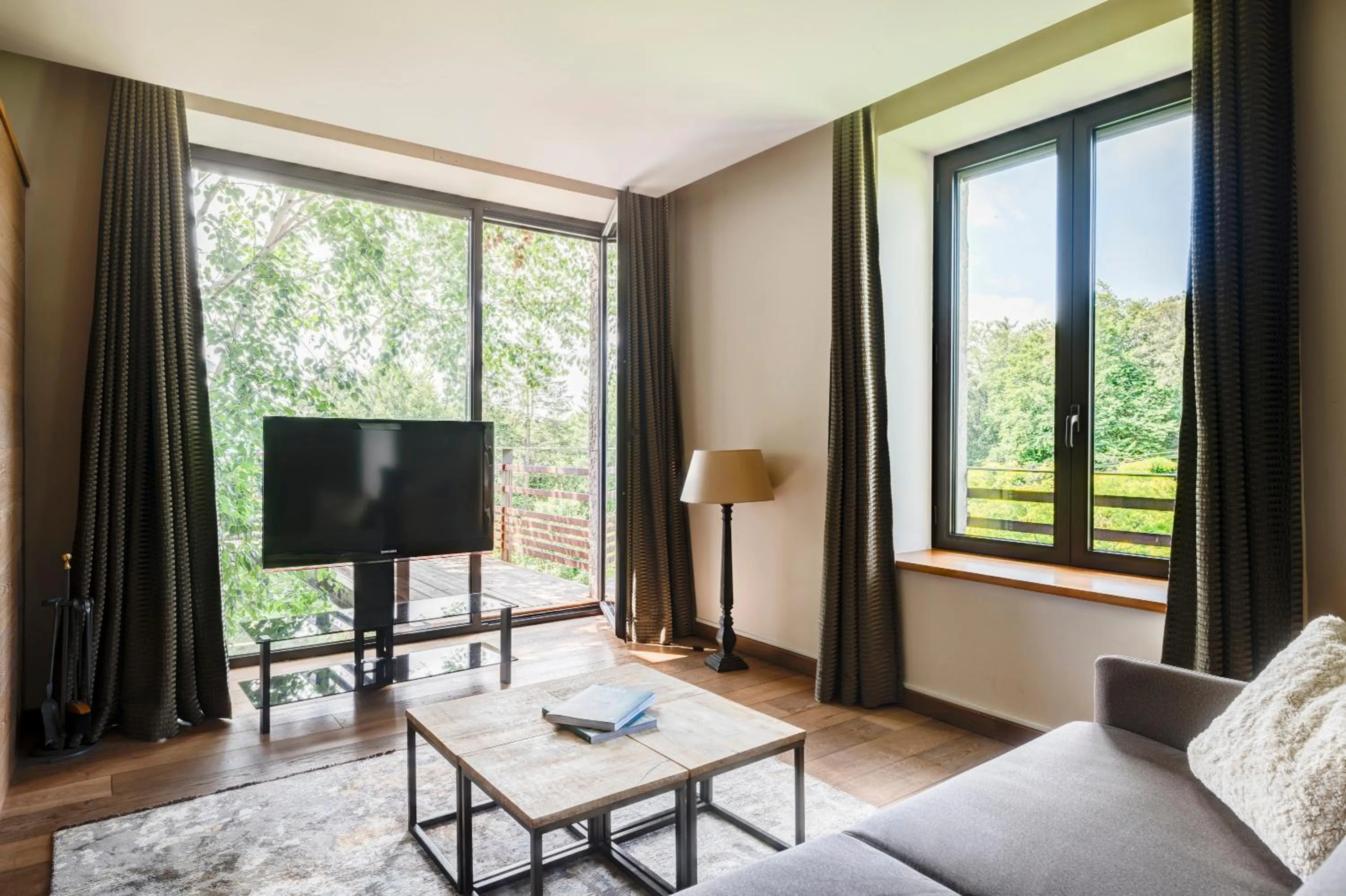 TV and multimedia in Château des Avenieres