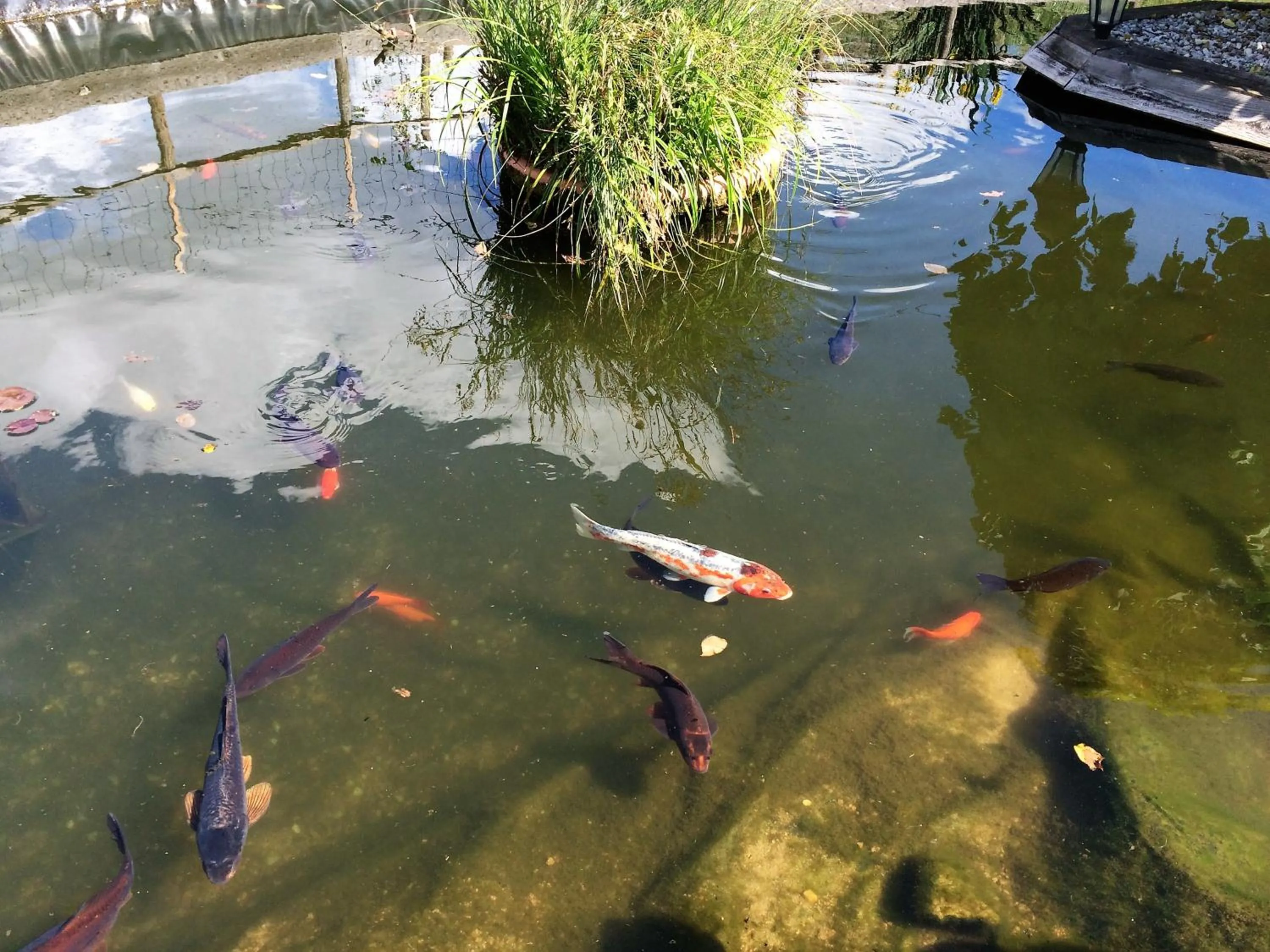 Children play ground in Delfotel