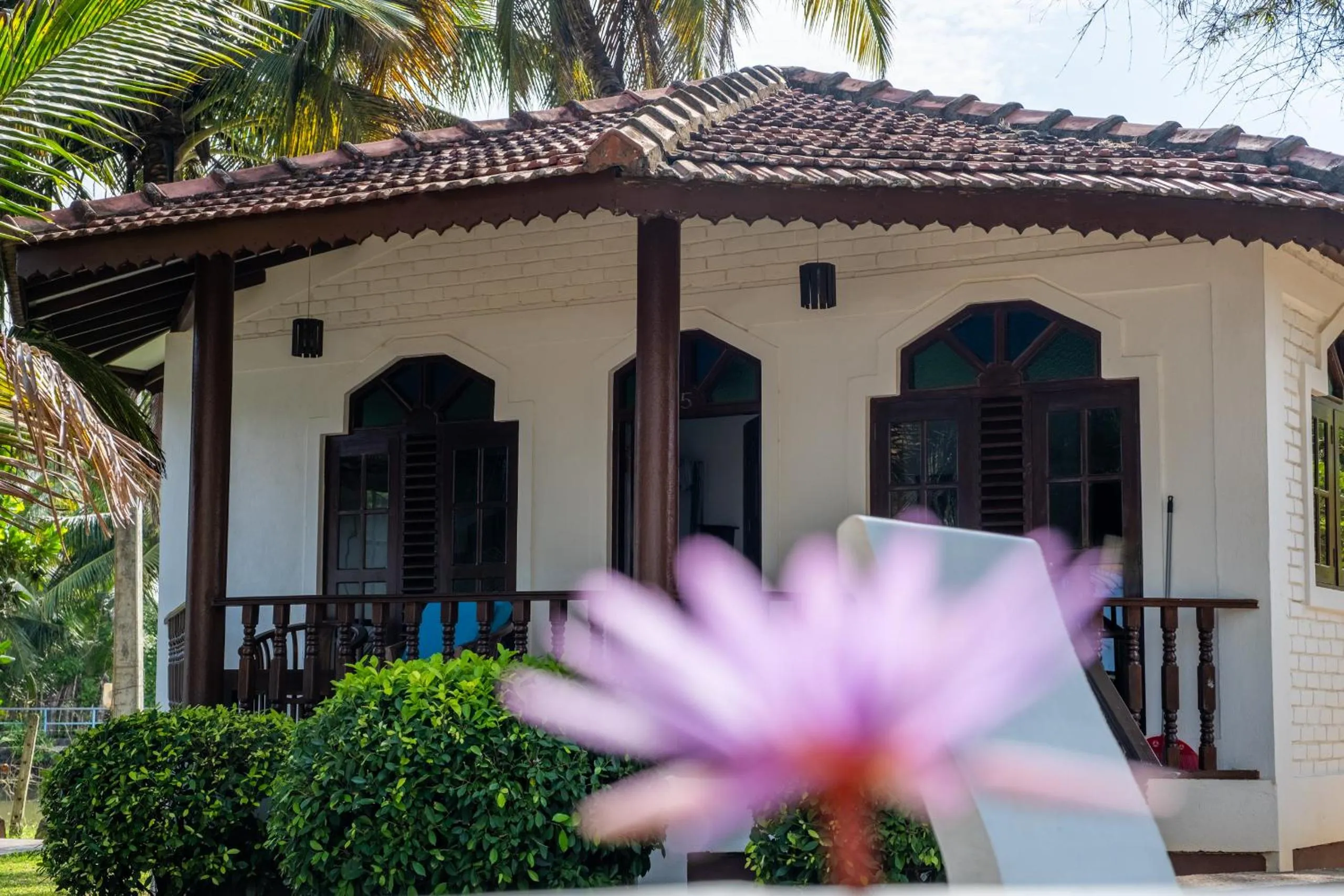 Serenity Beach Cabanas