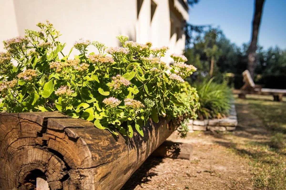 Garden in Fattoria Busa dell'Oro