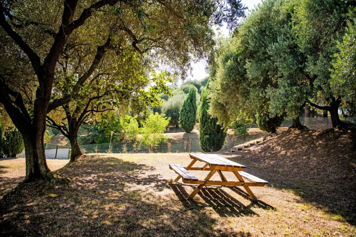 Garden in Fattoria Busa dell'Oro
