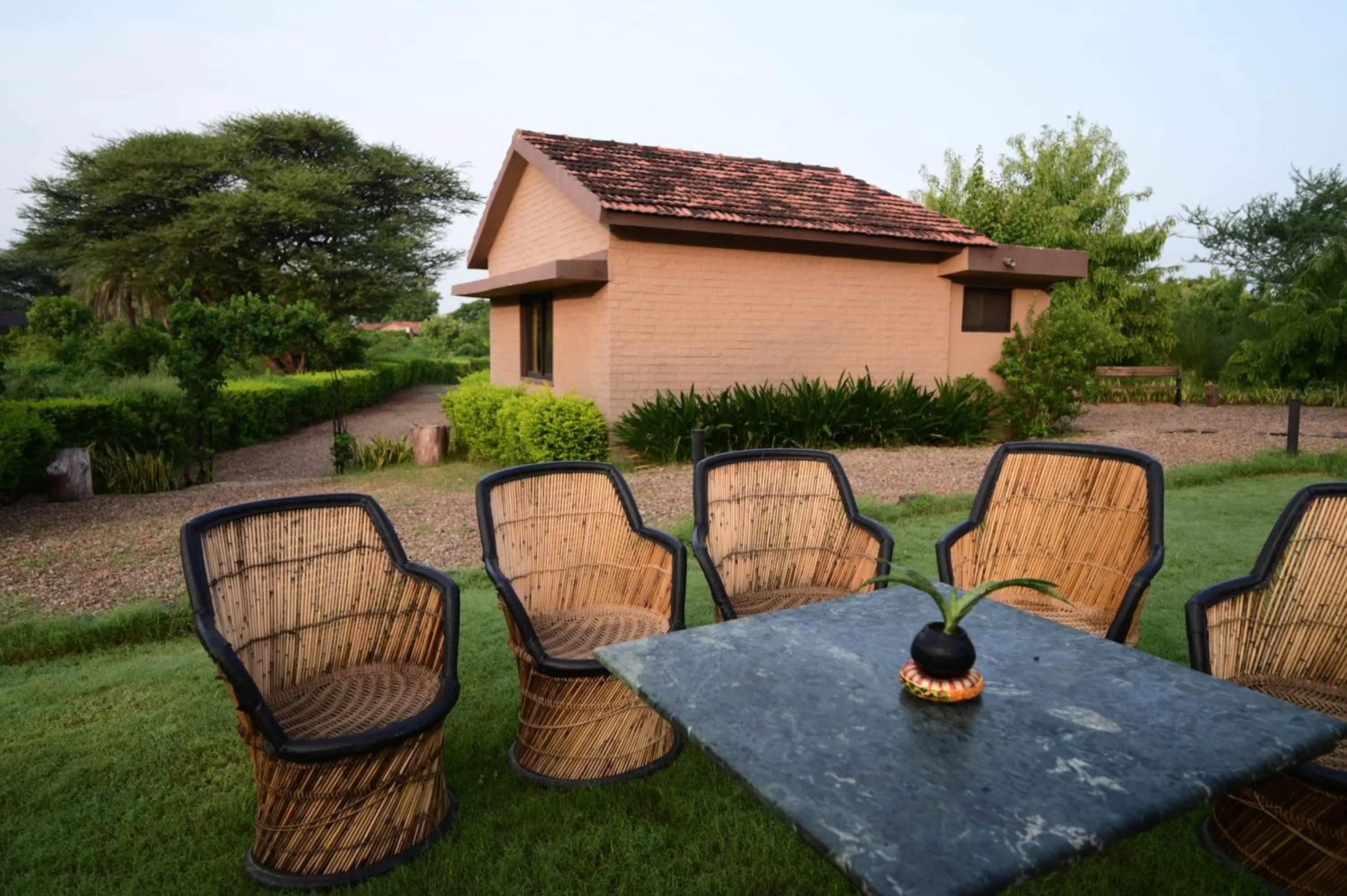 Clarks Safari Pushkar