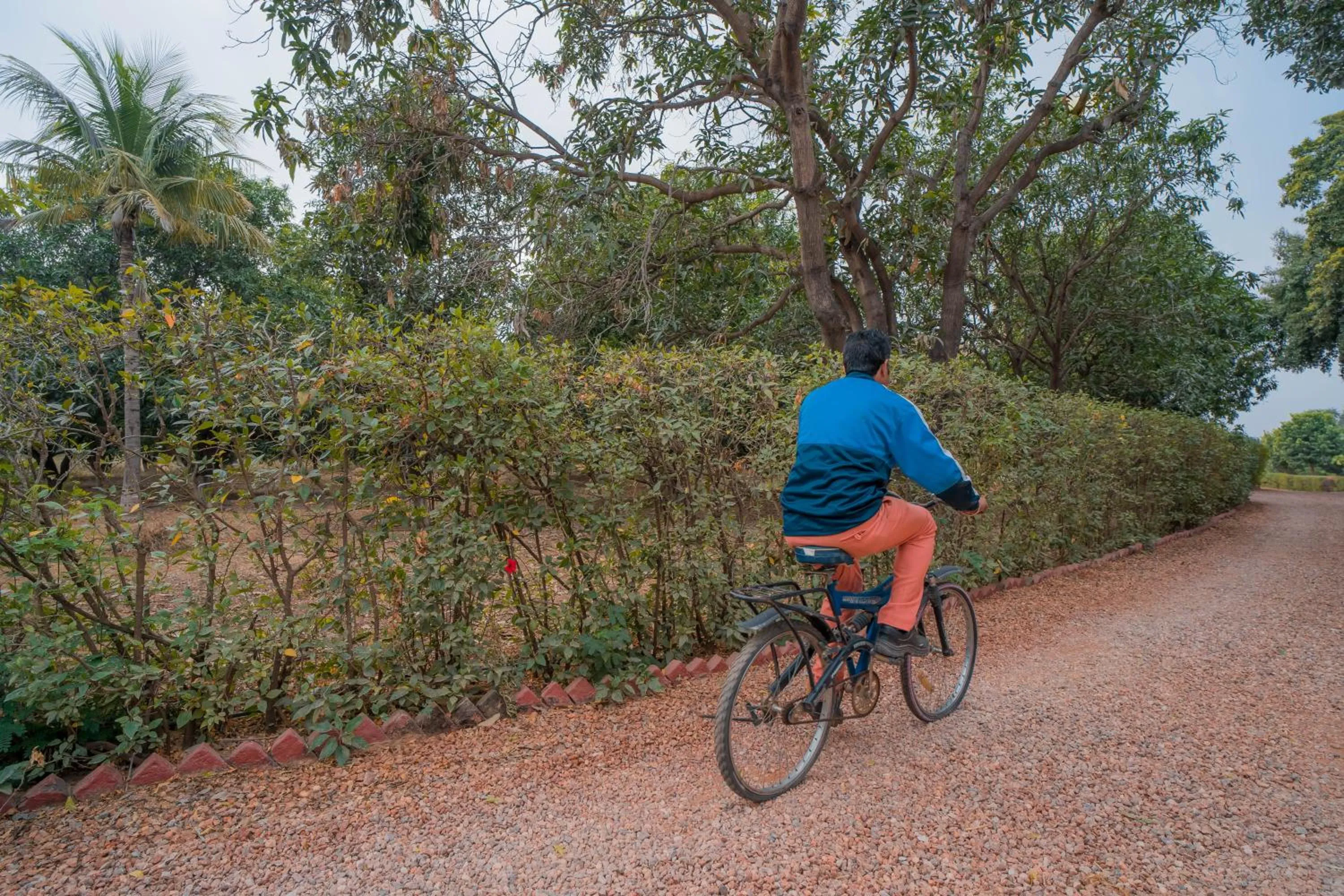 Clarks Safari Pushkar