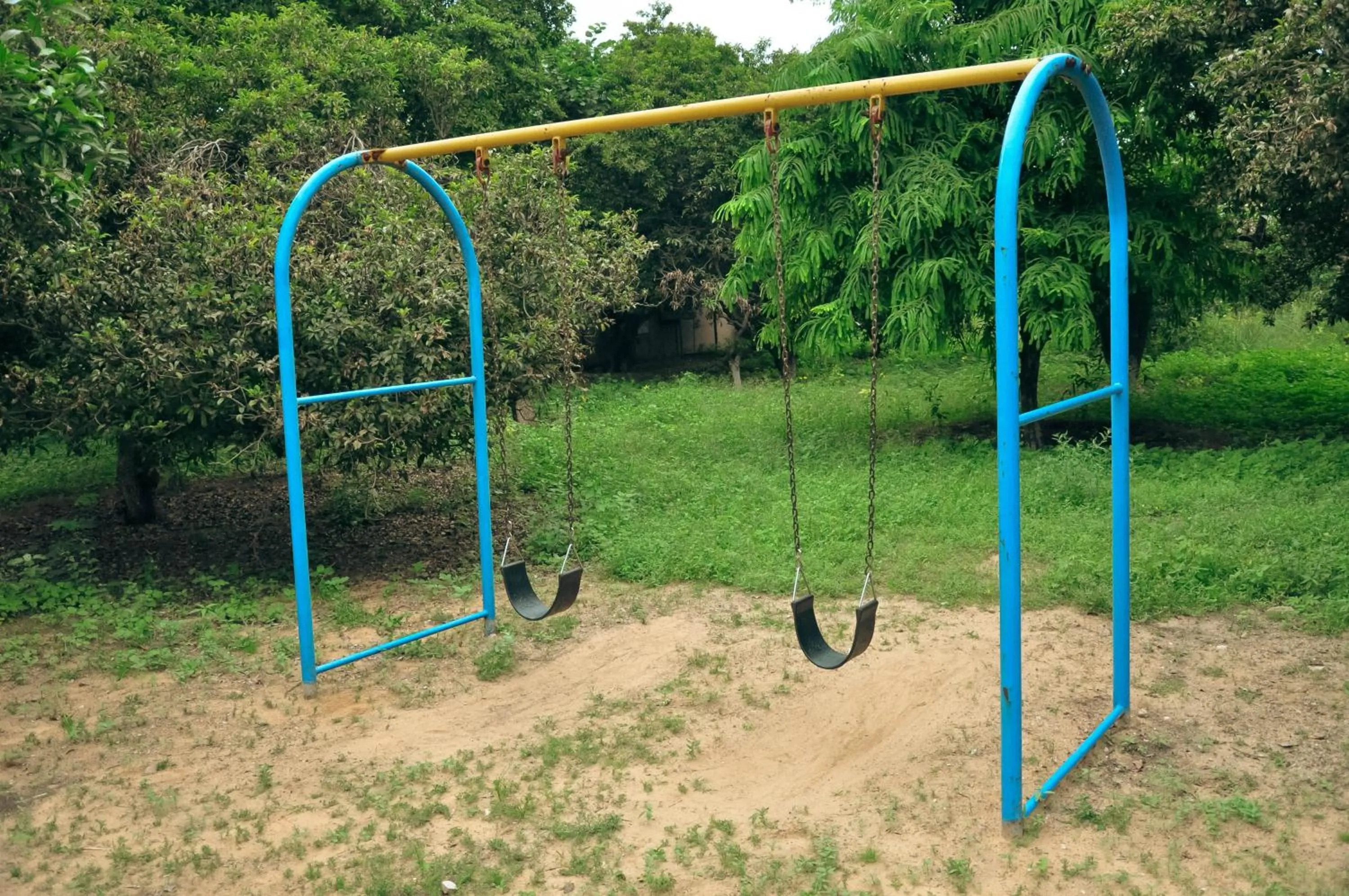 Clarks Safari Pushkar