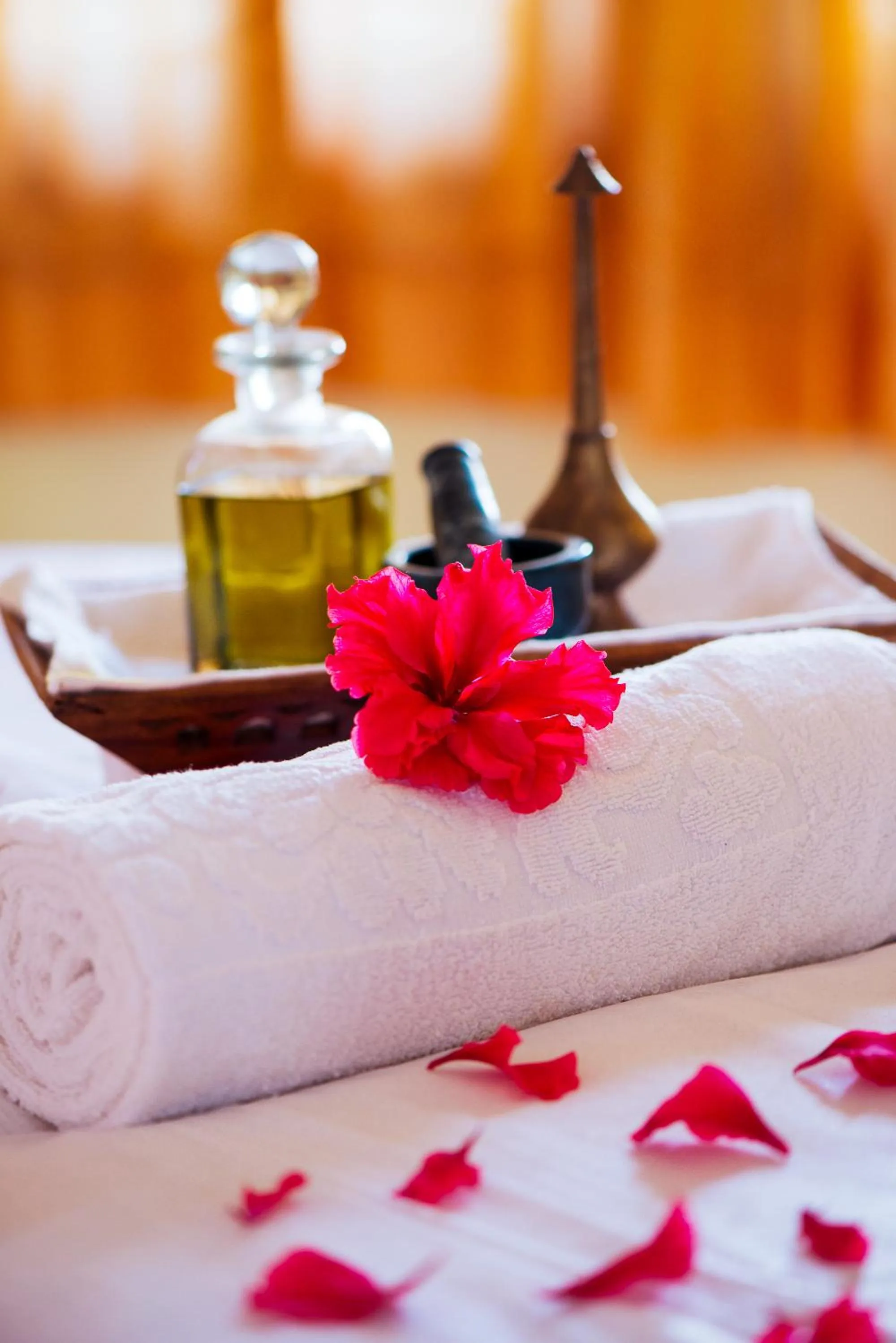 Spa and wellness centre/facilities in Clarks Safari Pushkar