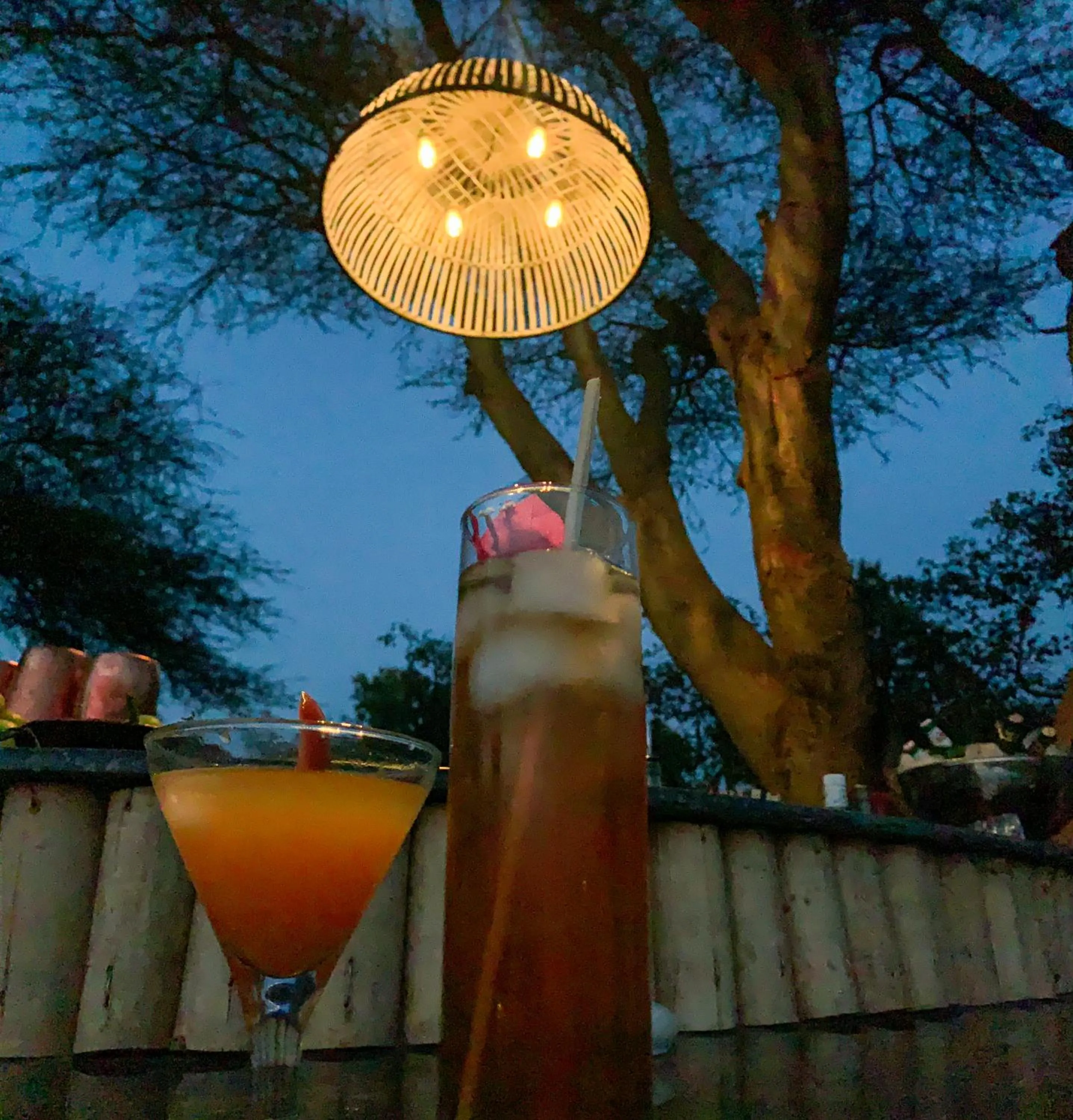 Clarks Safari Pushkar