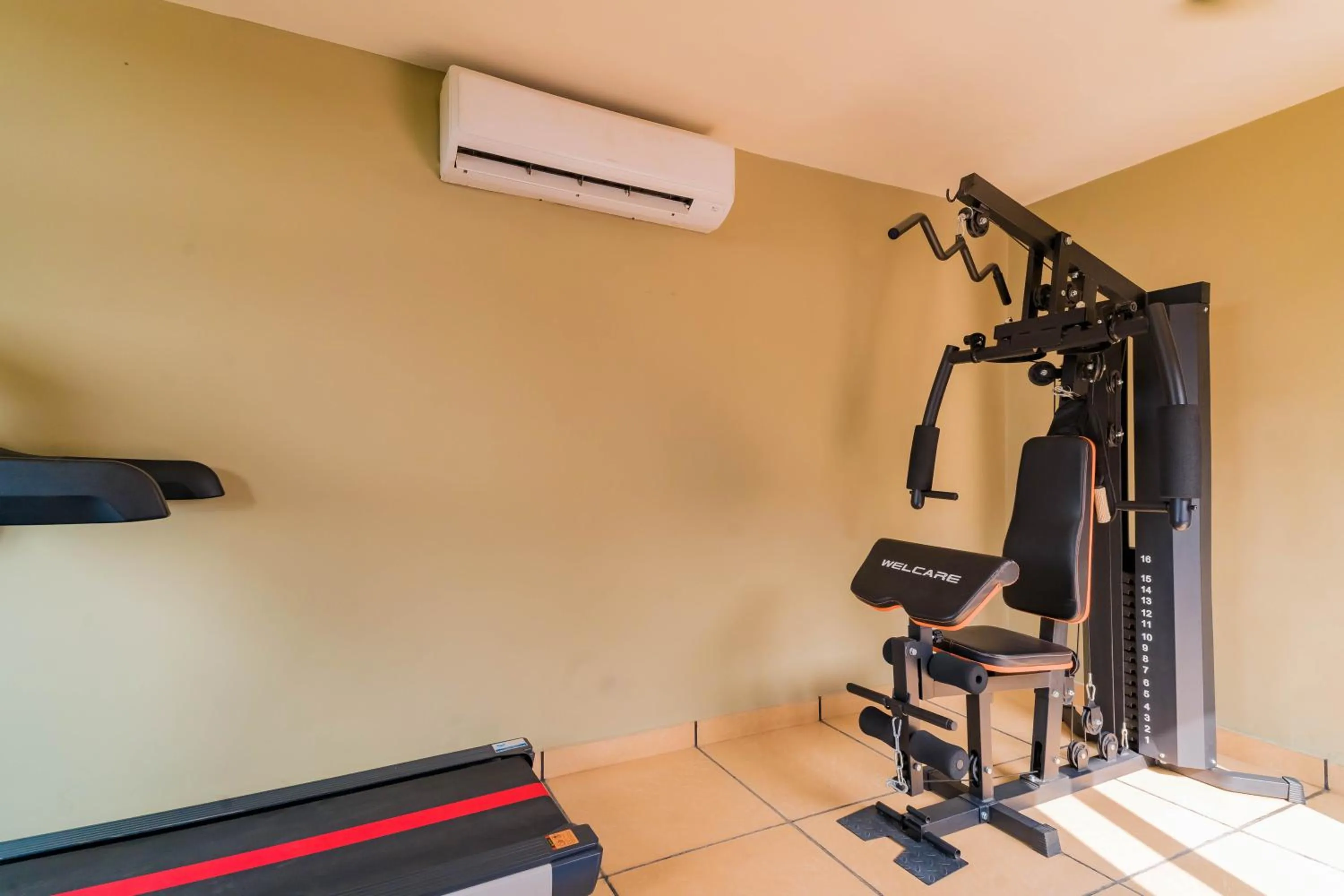 Clarks Safari Pushkar