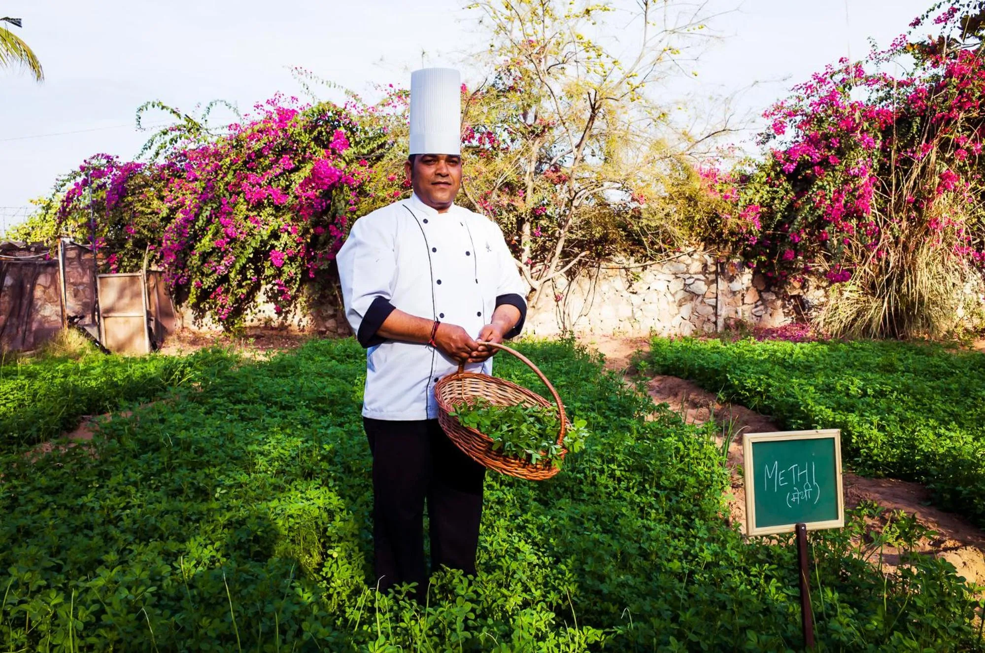 Staff in Clarks Safari Pushkar