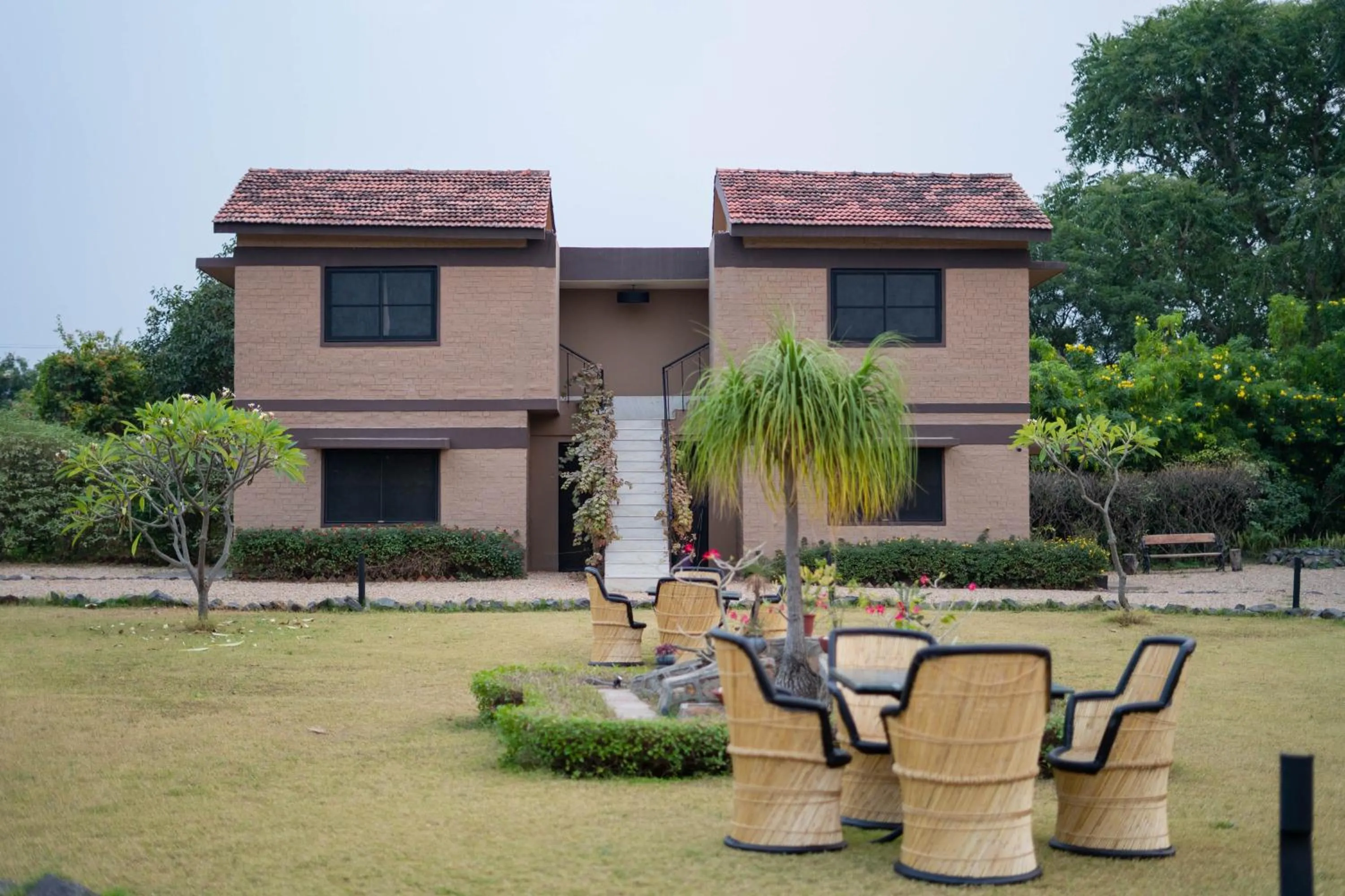 Clarks Safari Pushkar