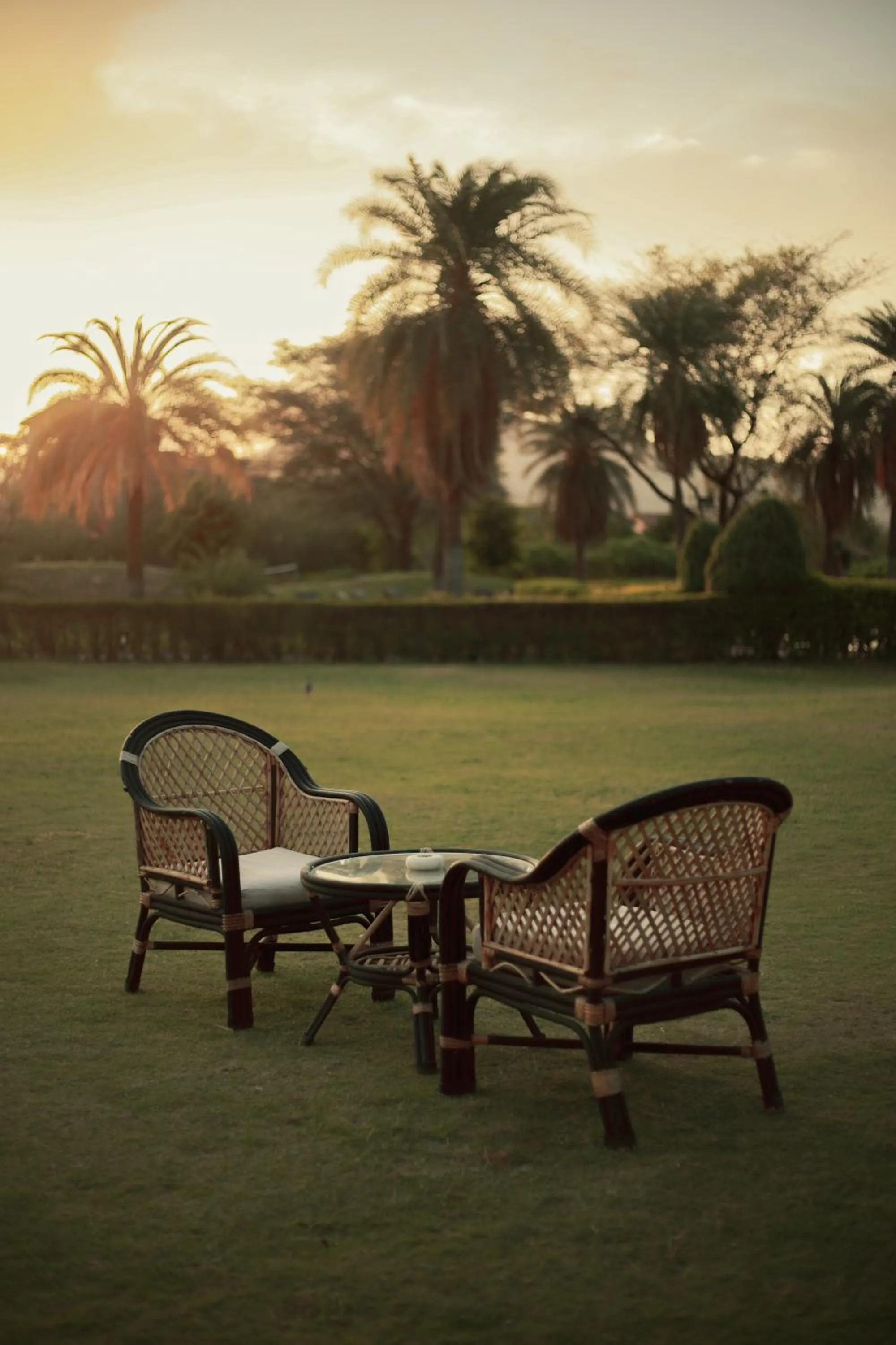 Garden in Clarks Safari Pushkar