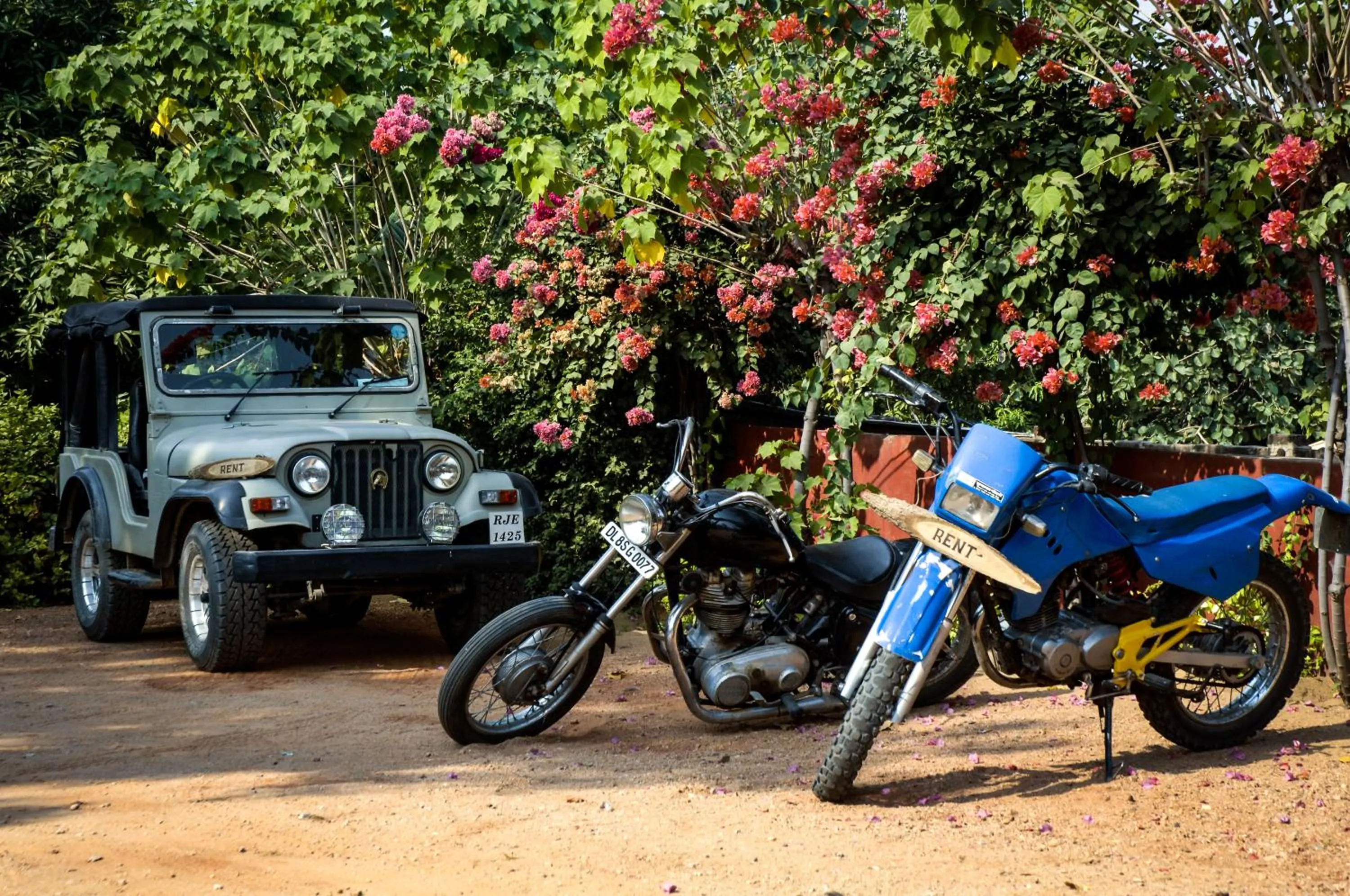 Cycling in Clarks Safari Pushkar