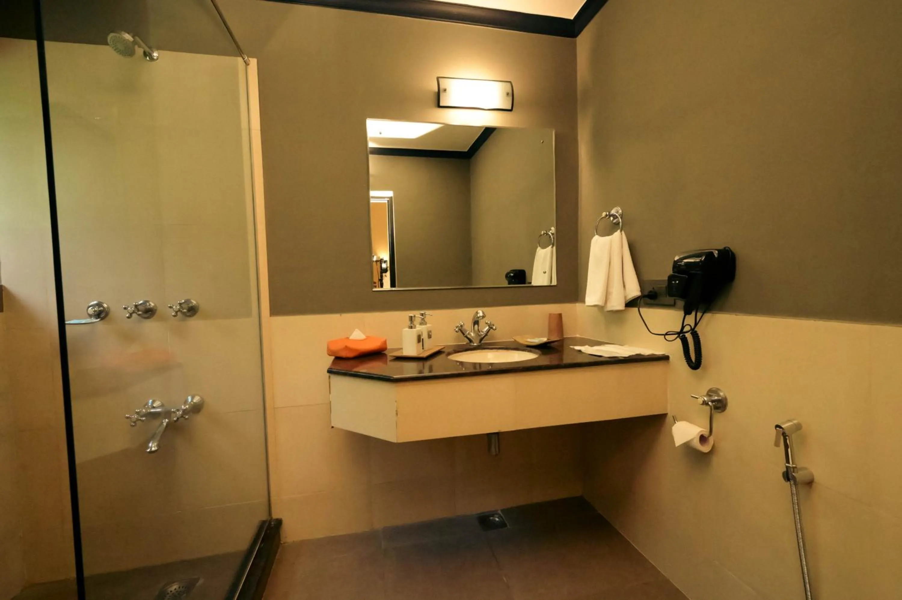 Clarks Safari Pushkar