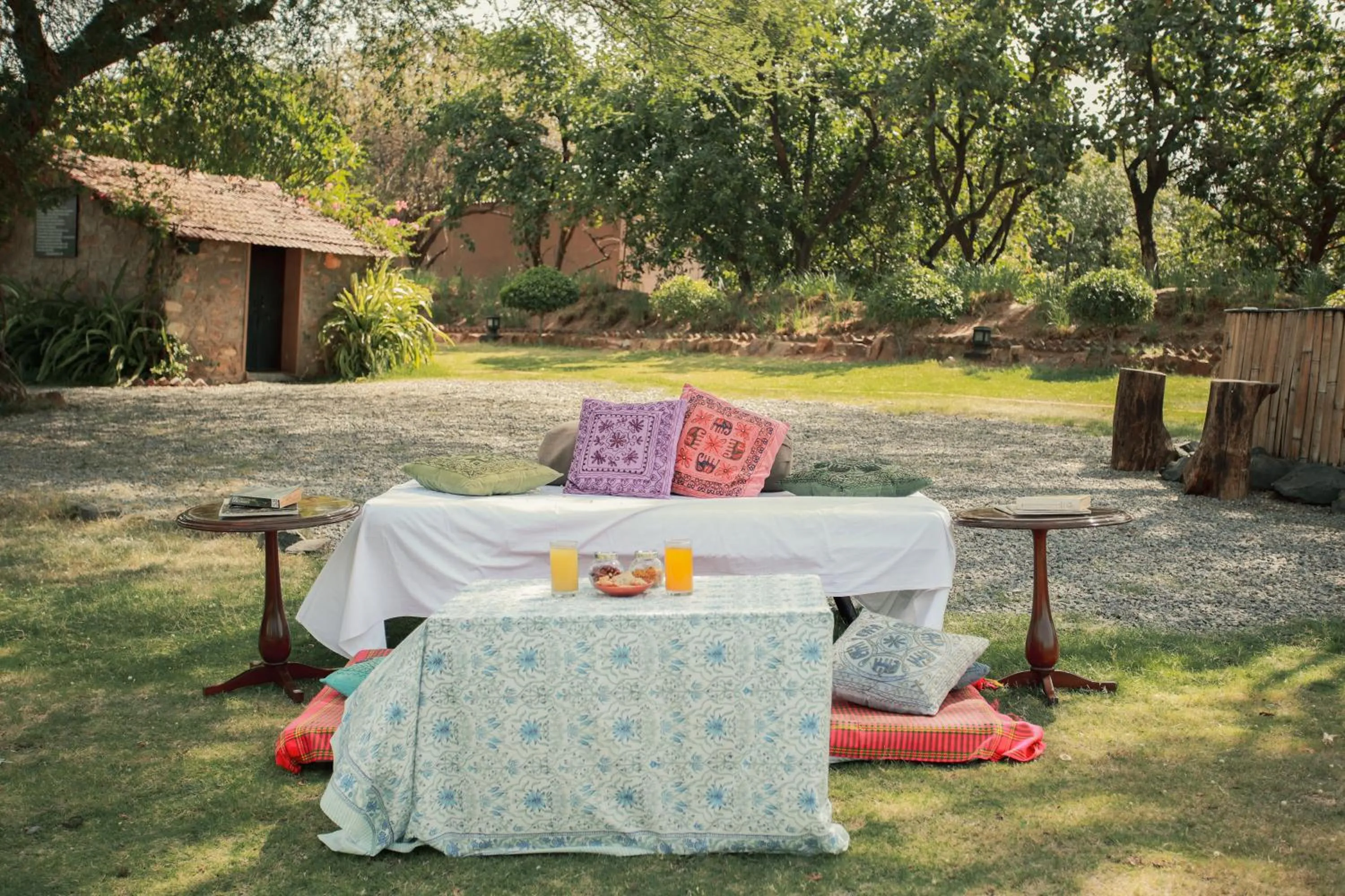 Day in Clarks Safari Pushkar