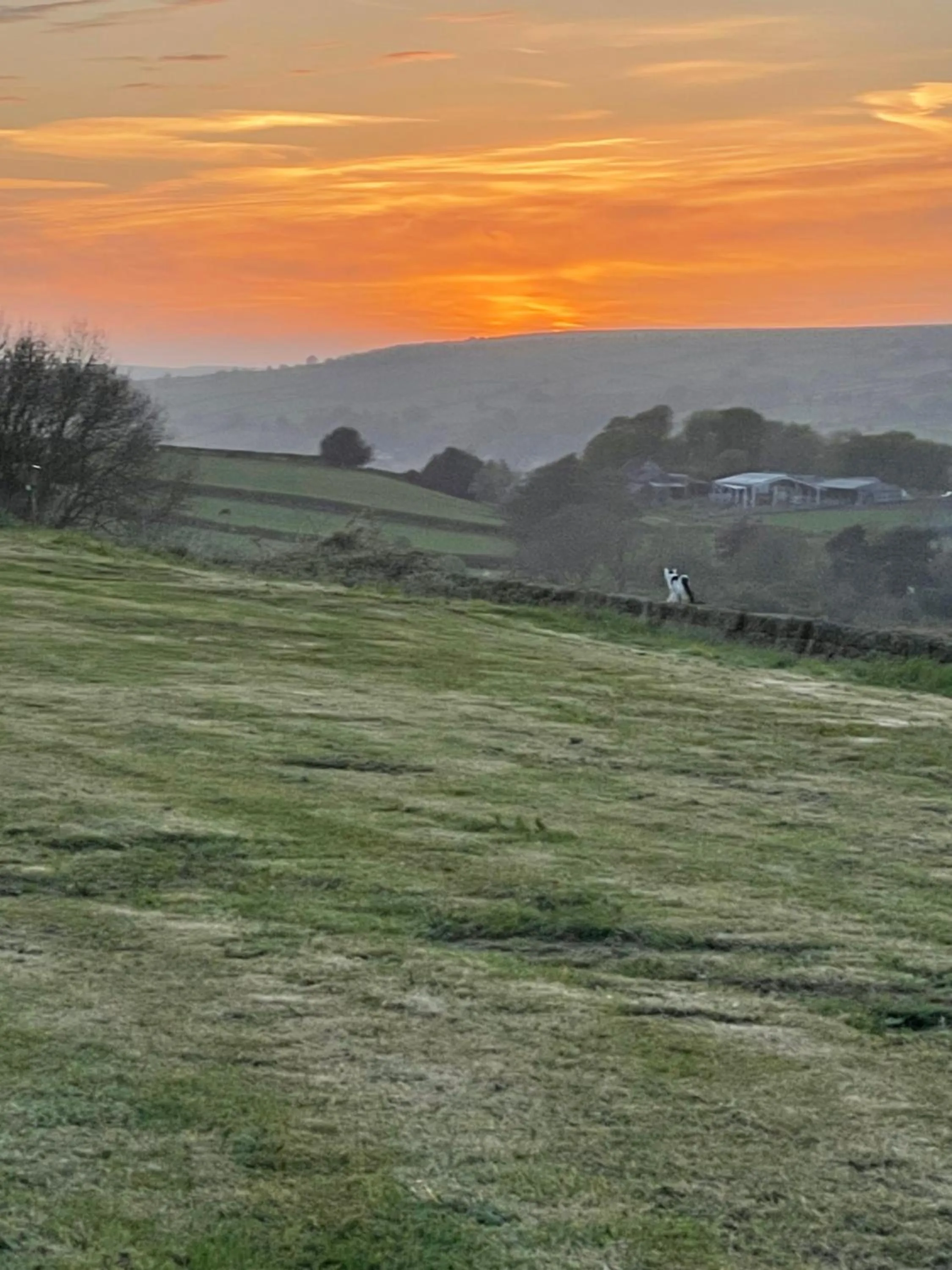 Oakley View Shepherds Hut with hot tub