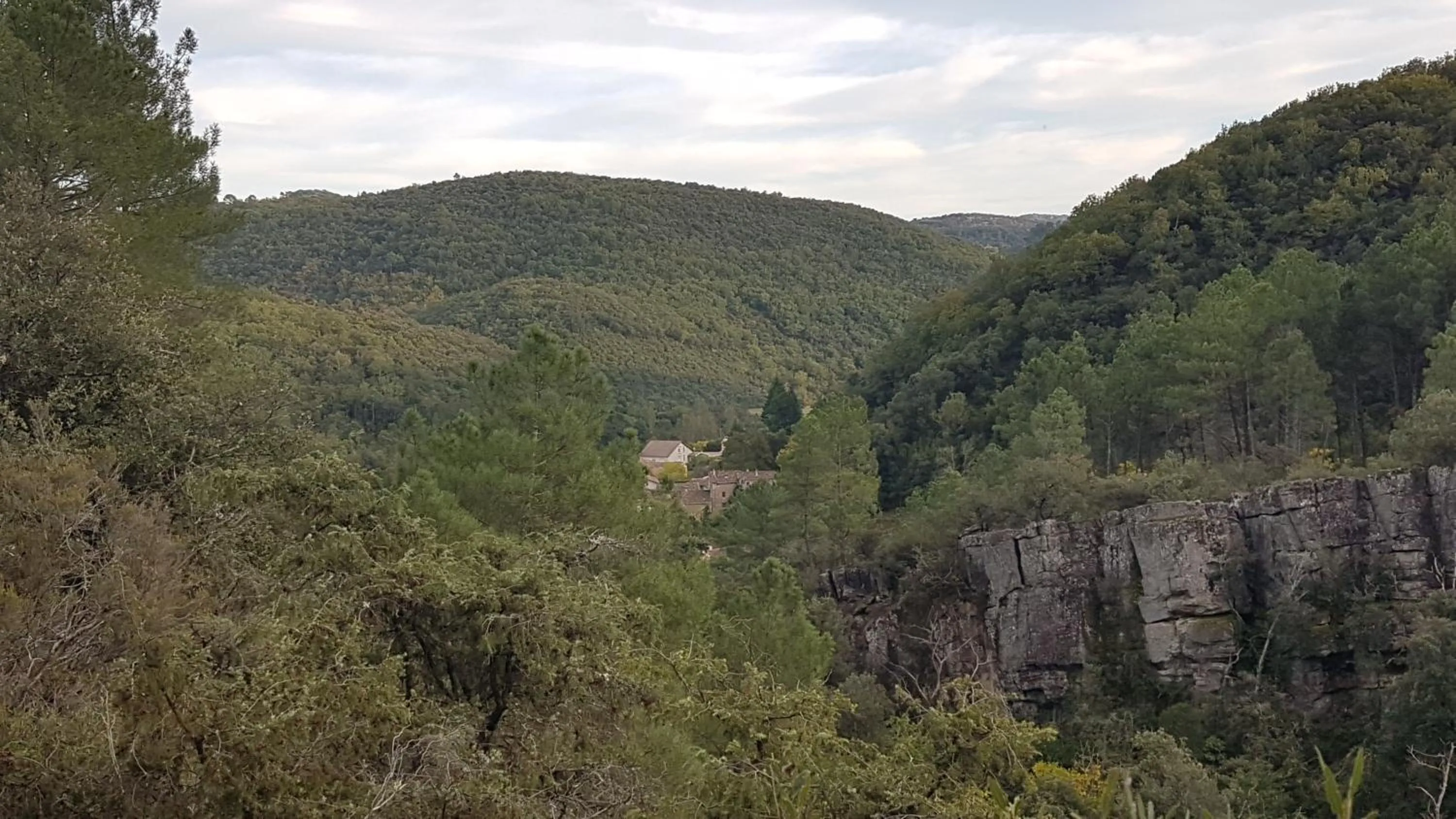 Natural landscape in Le Clos du Cèdre