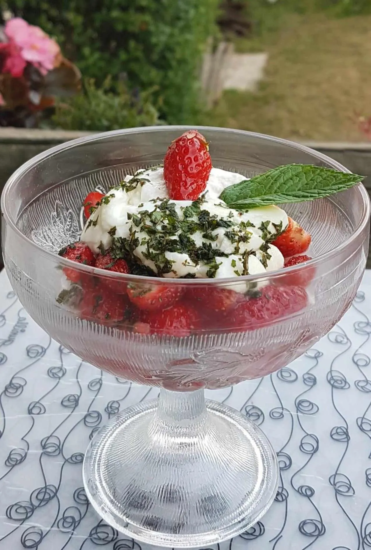 Dinner in Le Clos du Cèdre