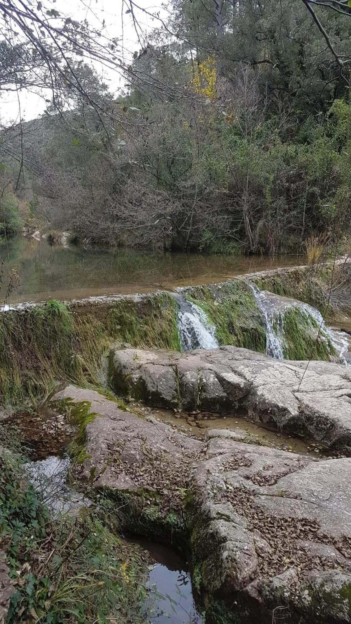 Nearby landmark in Le Clos du Cèdre