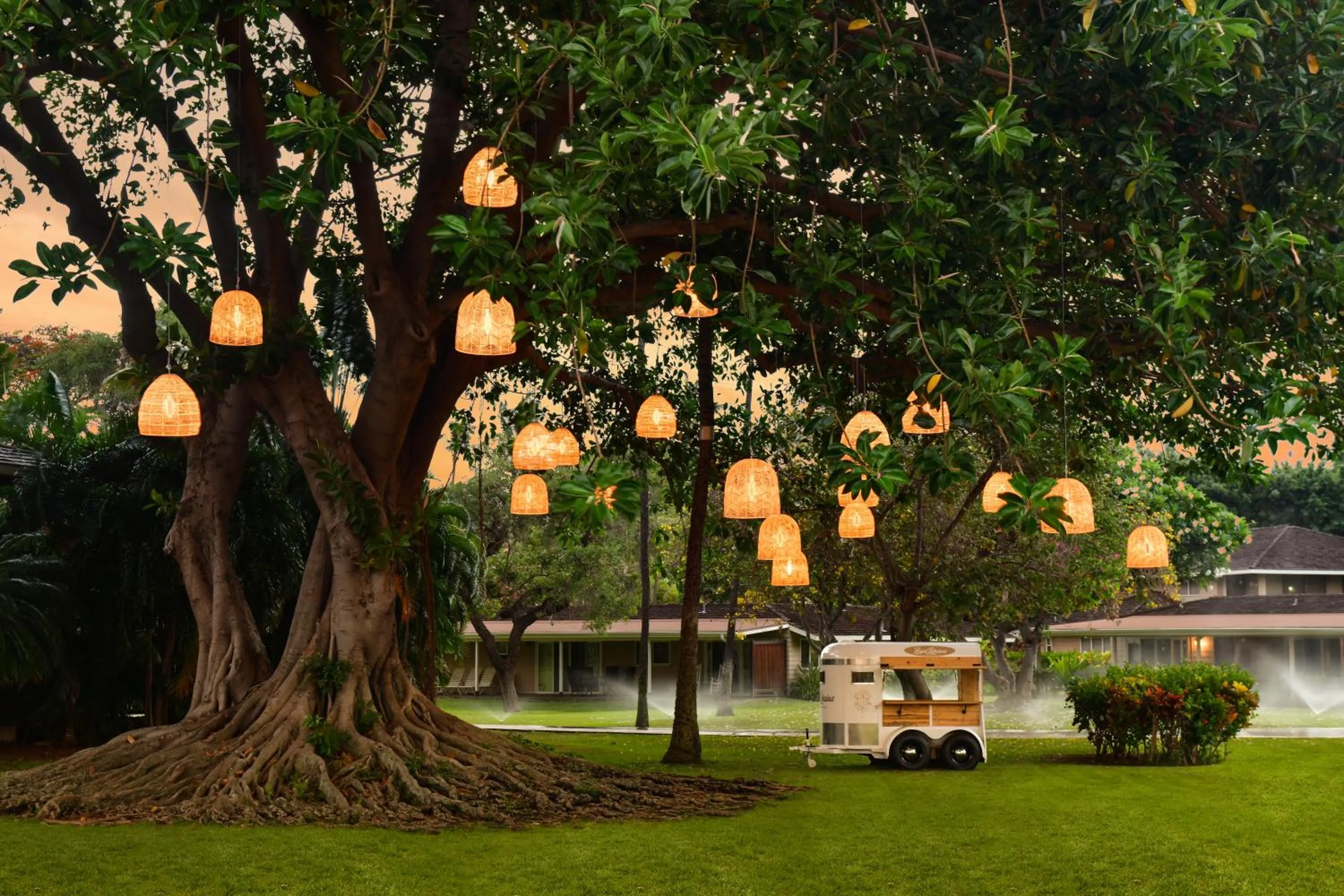 Natural landscape in Royal Lahaina Resort & Bungalows