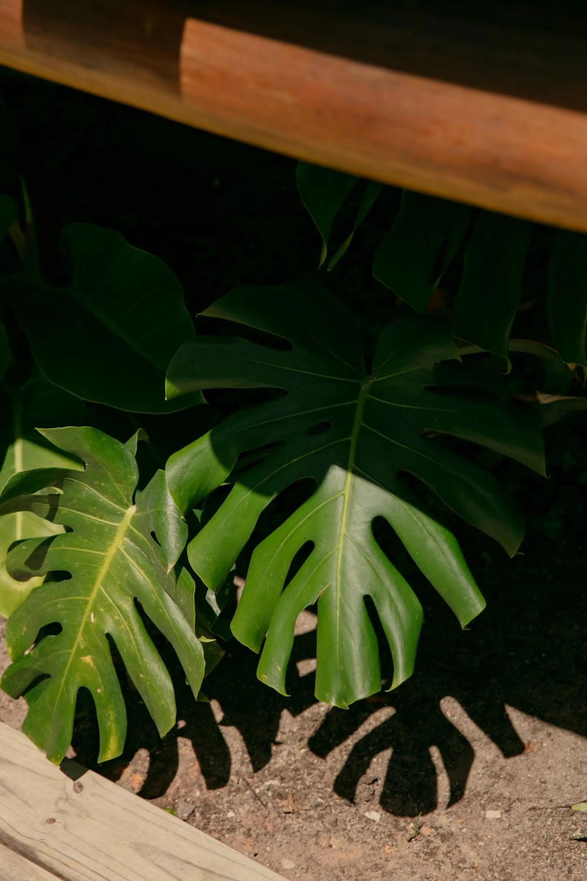 Day in Corais de Trancoso Boutique