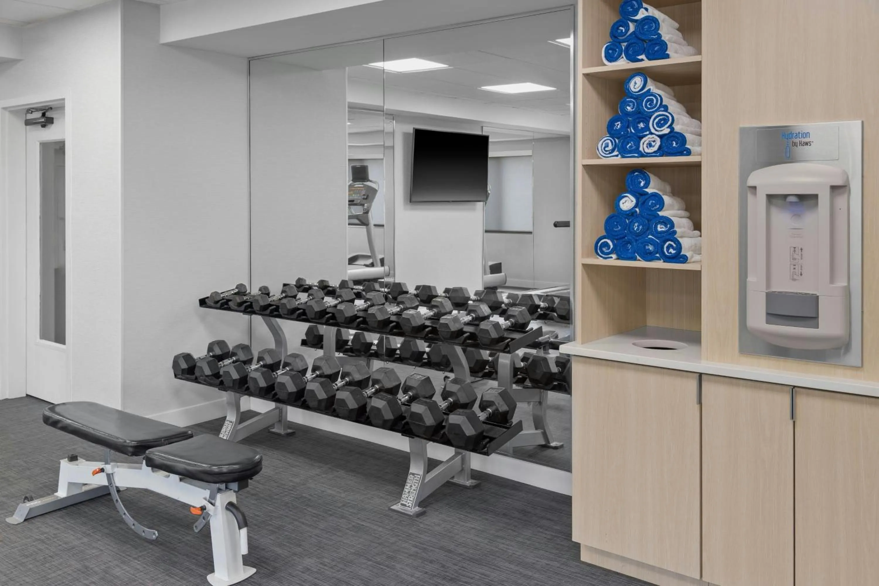 Fitness centre/facilities in TownePlace Suites Detroit Warren