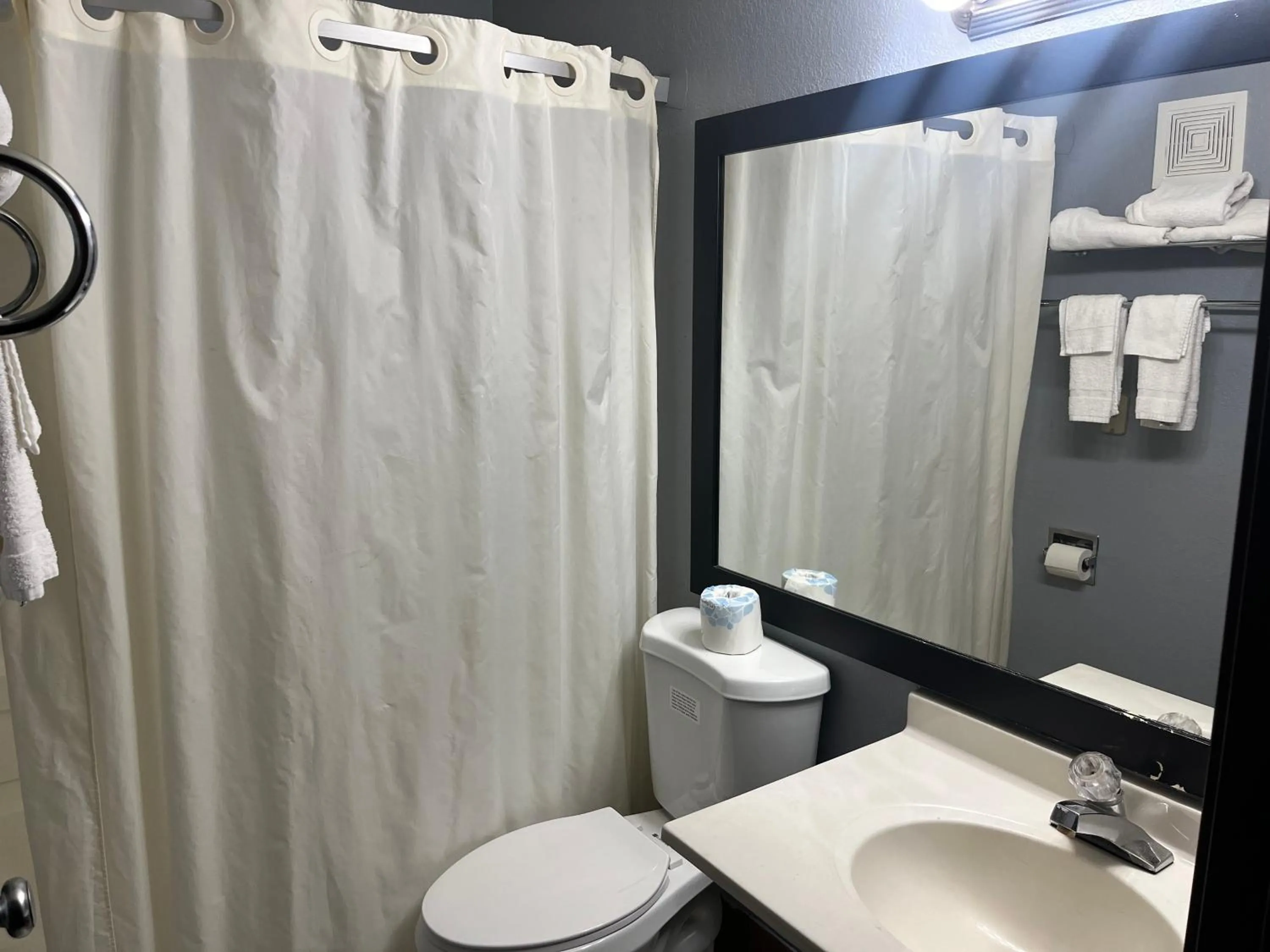 Bathroom in Rodeway Inn Whitehall