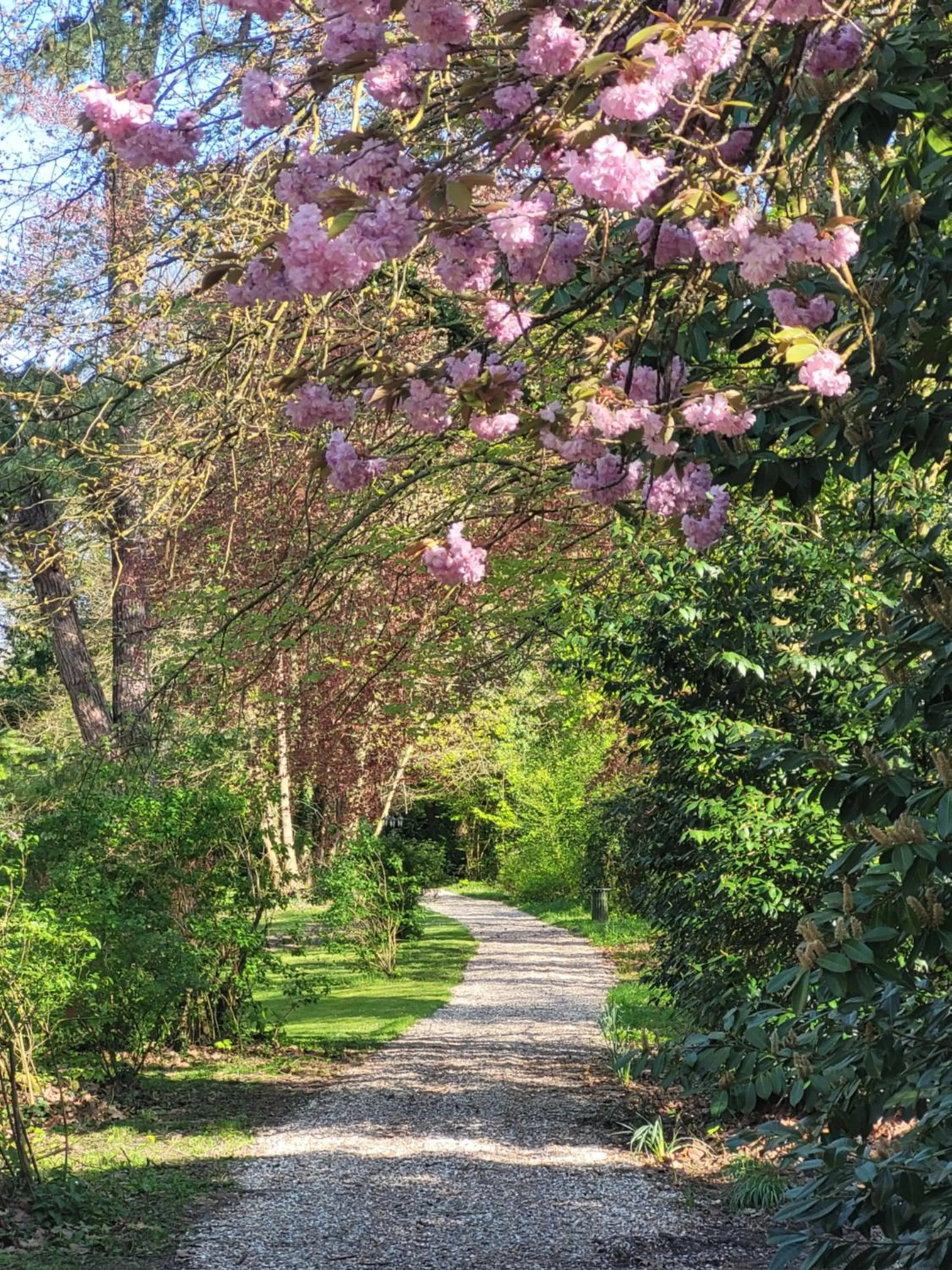 Belle Isle Sur Risle - Chateau Hotel & Spa