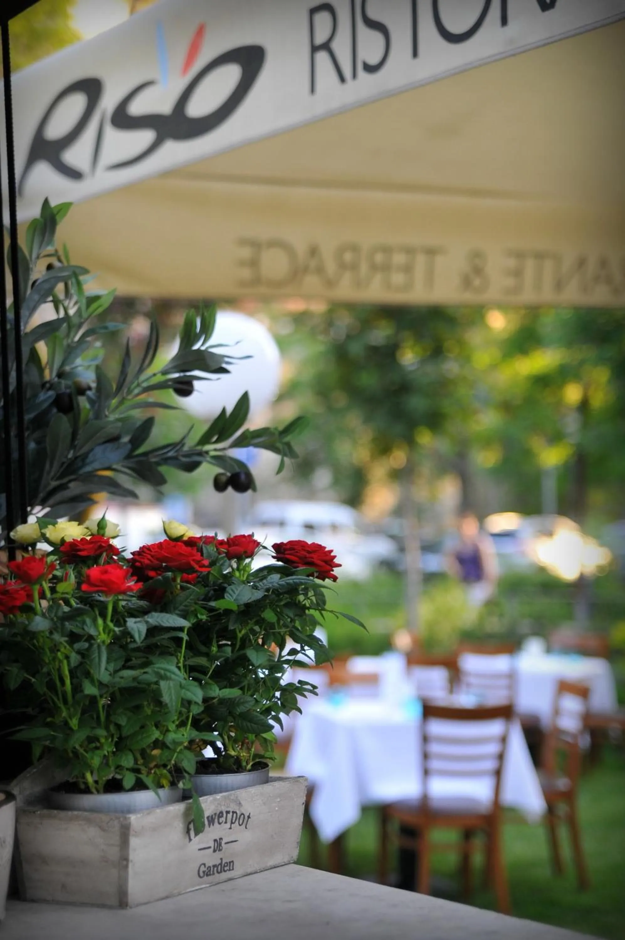 Restaurant/places to eat in Hotel Castle Garden