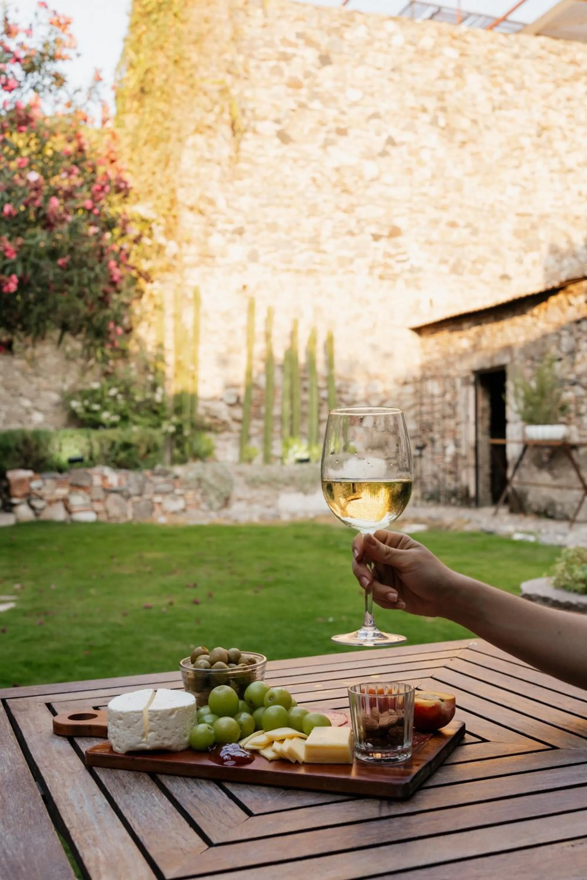 Day in Orchid House San Miguel de Allende