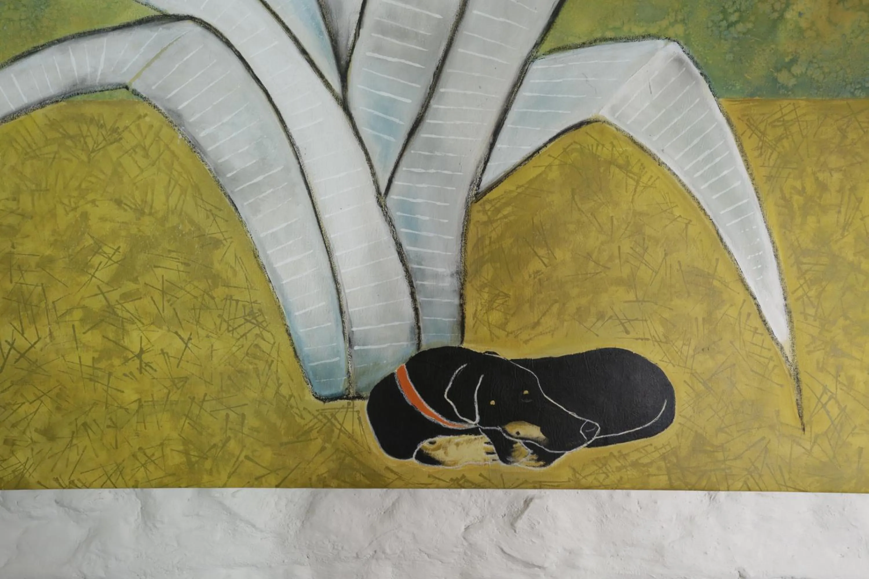 Photo of the whole room in Orchid House San Miguel de Allende