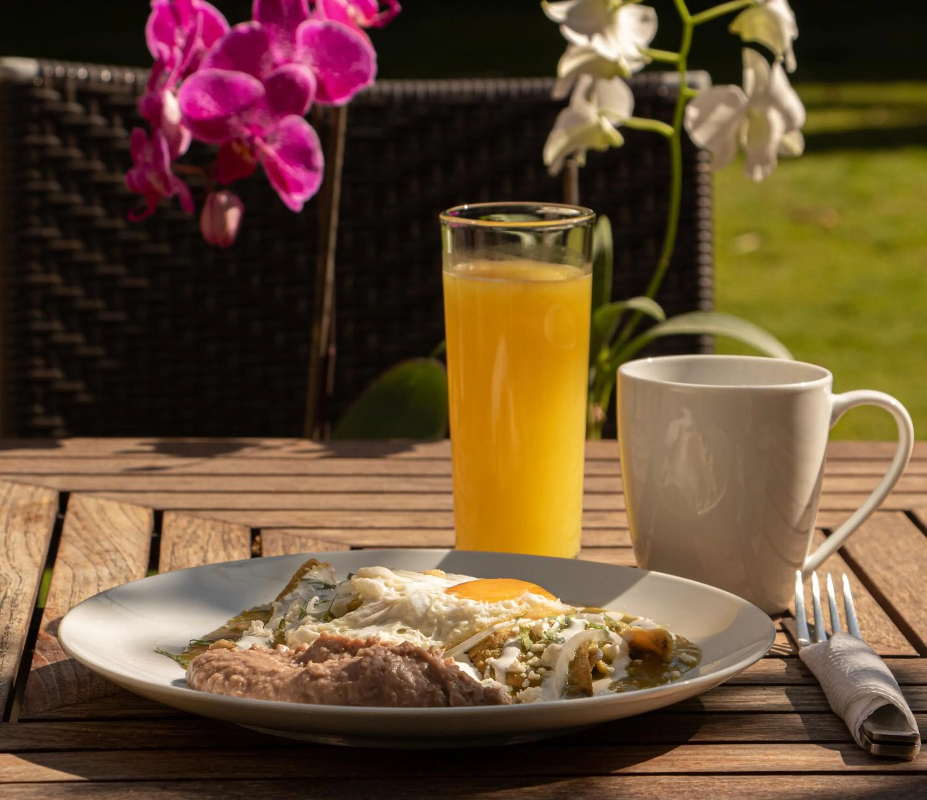 Day in Orchid House San Miguel de Allende