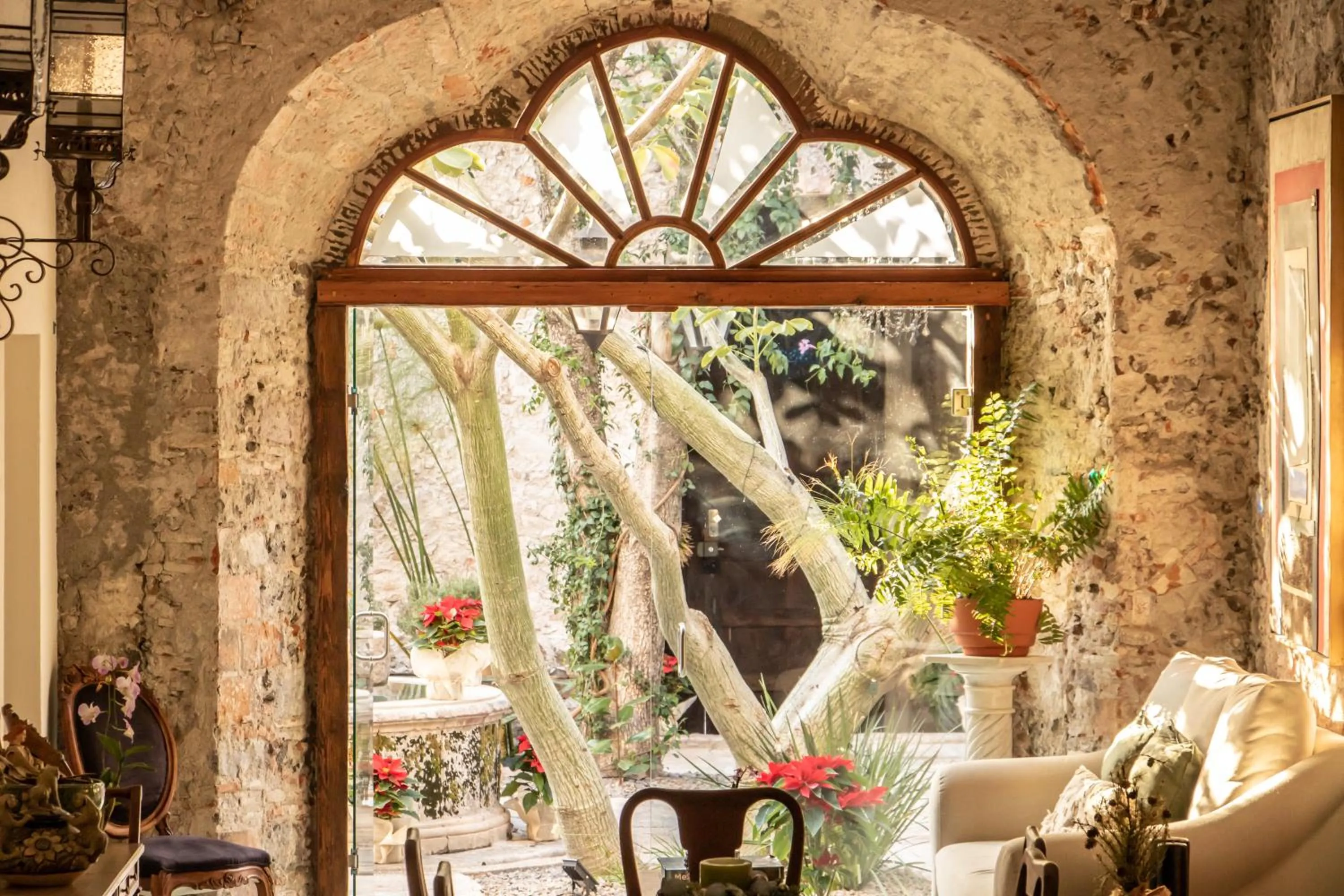 Day in Orchid House San Miguel de Allende