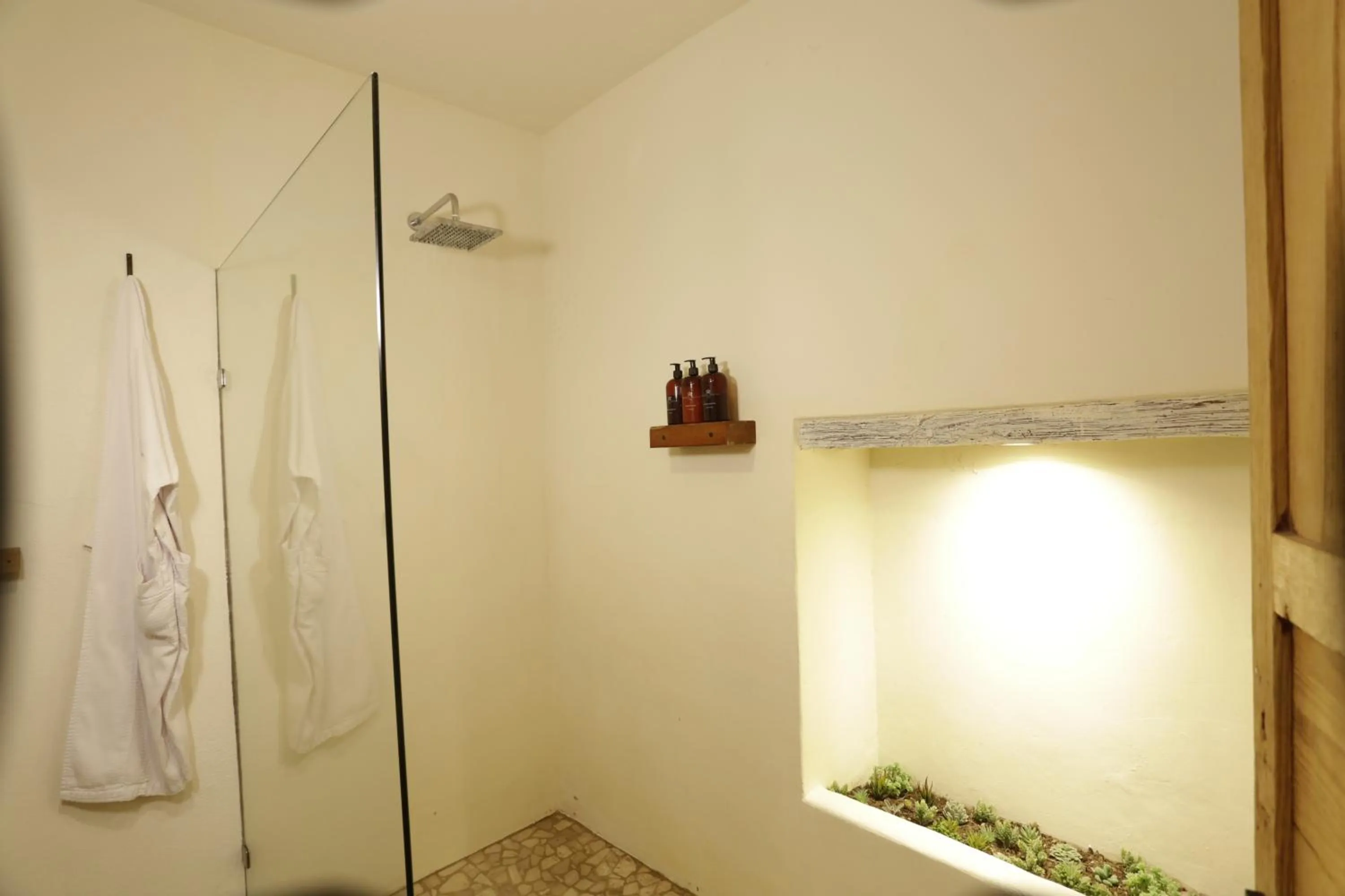 Shower in Orchid House San Miguel de Allende